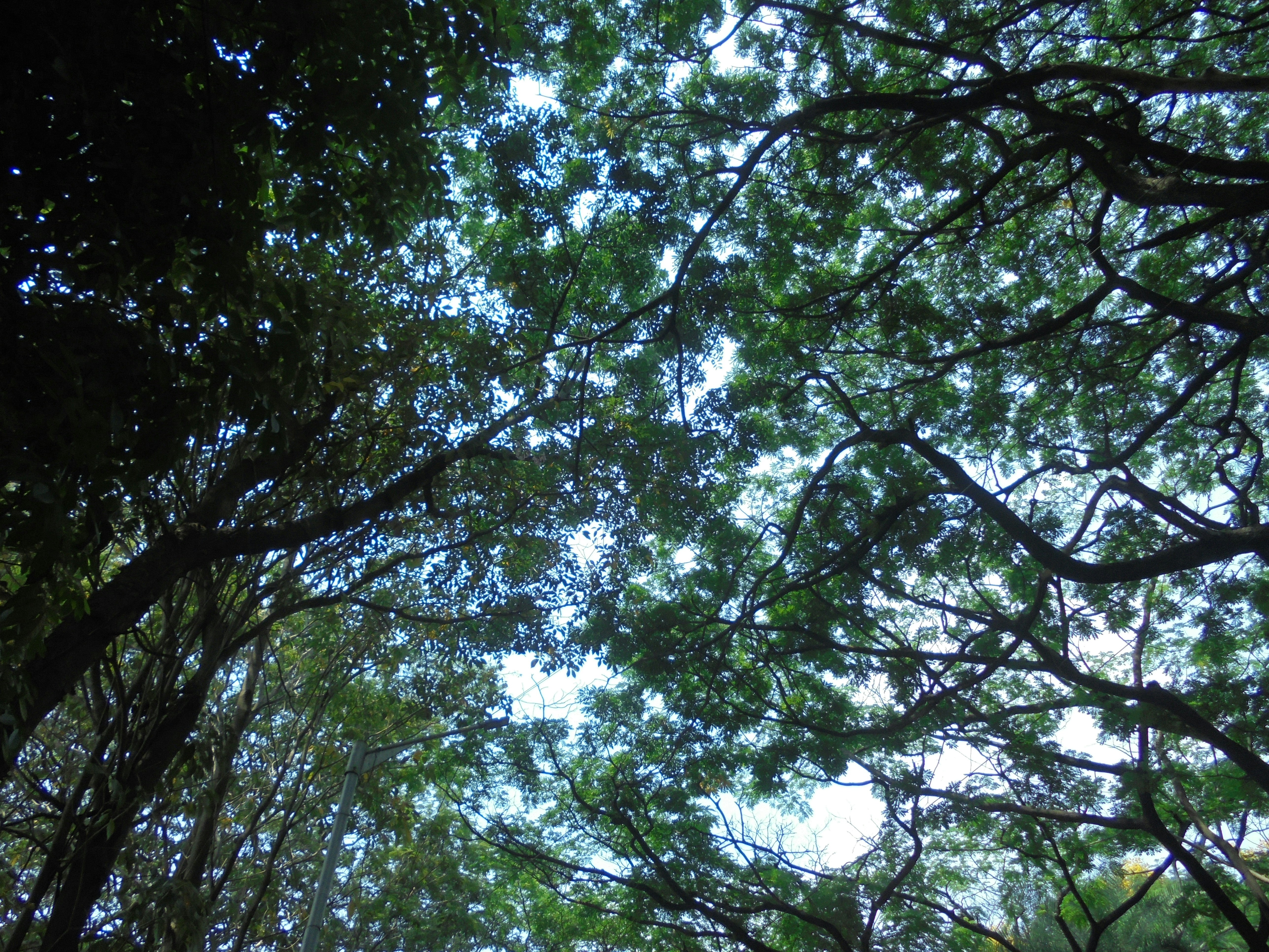 Photo by antiquark007