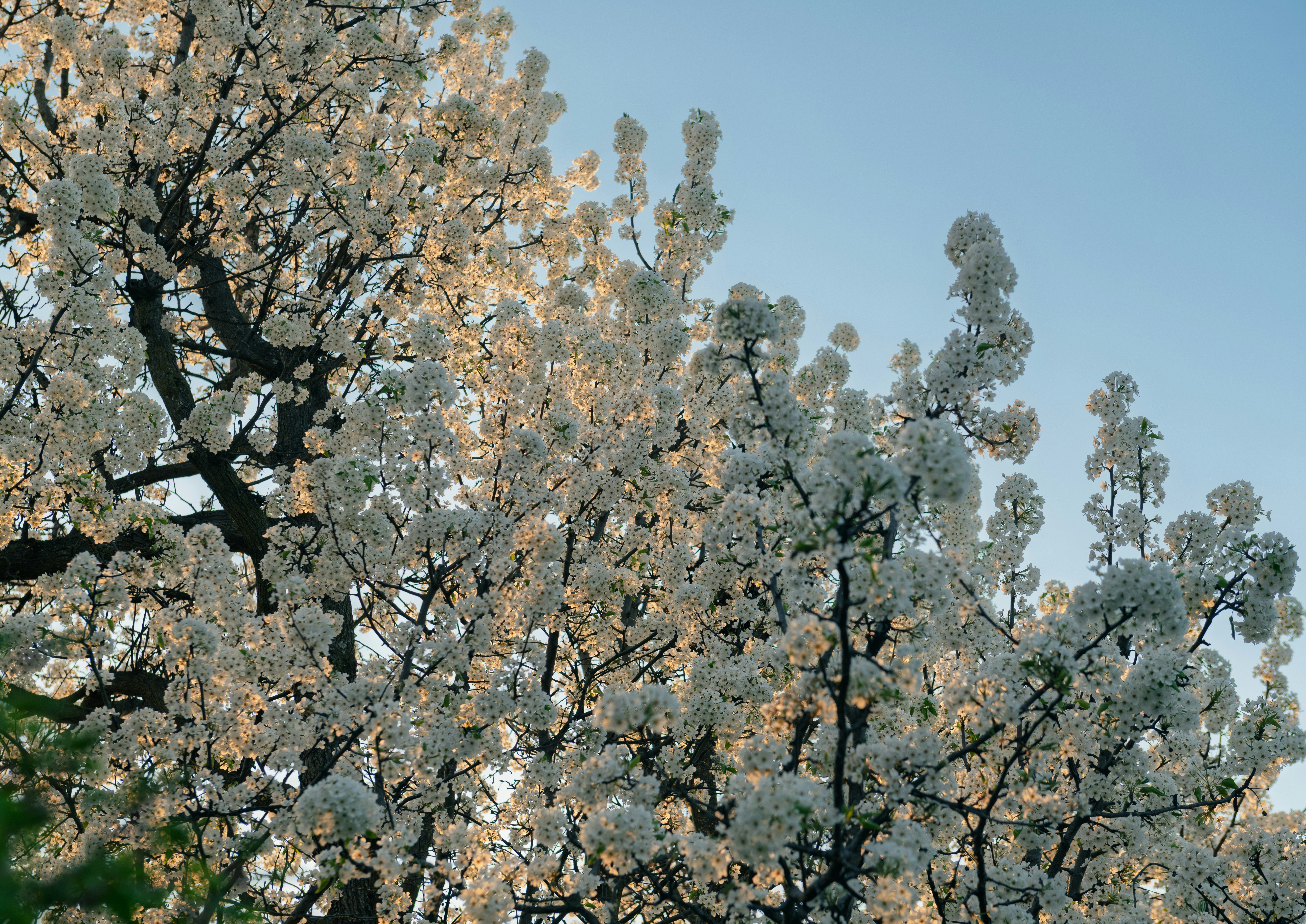 Photo by sriniunsplash