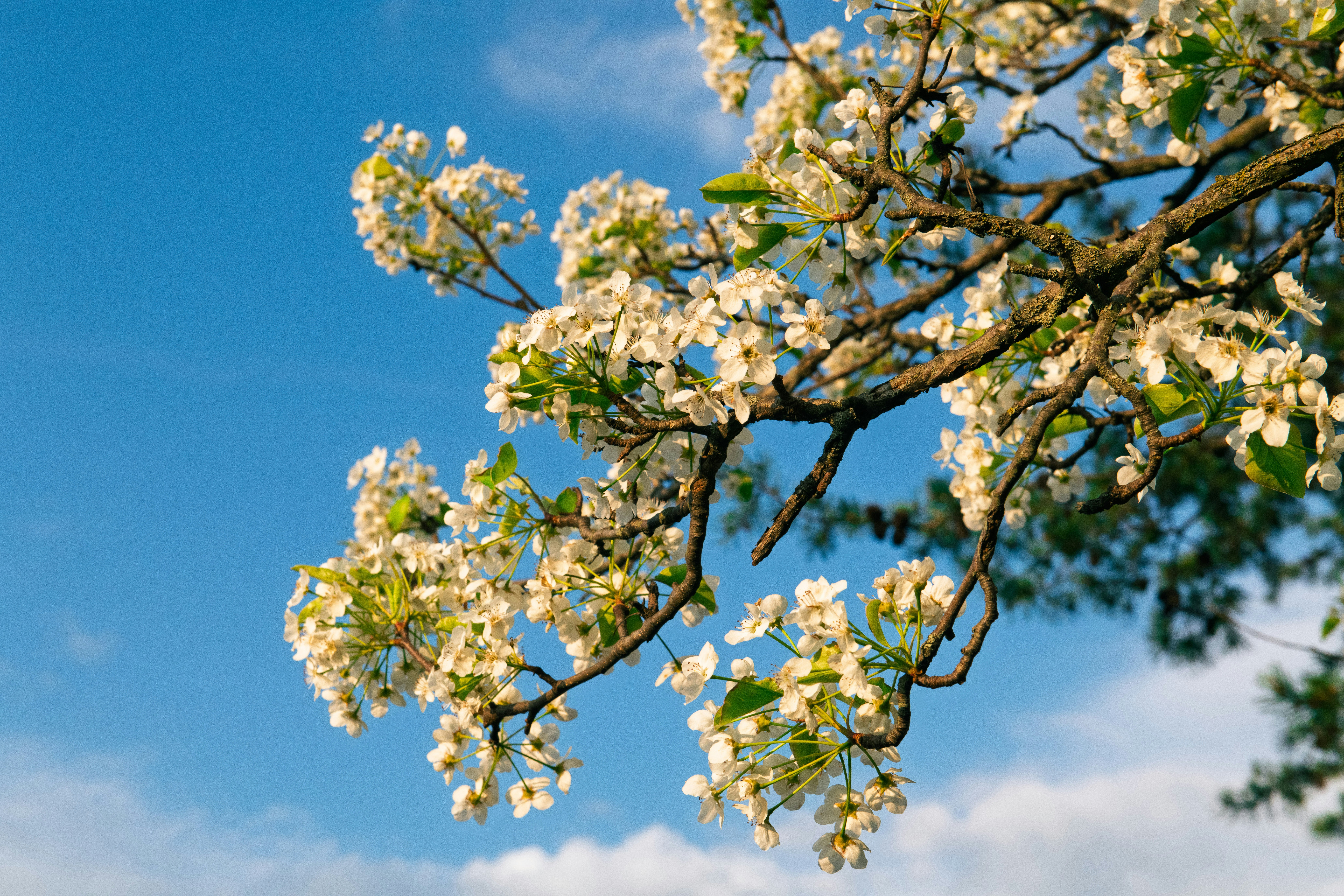 Photo by sriniunsplash
