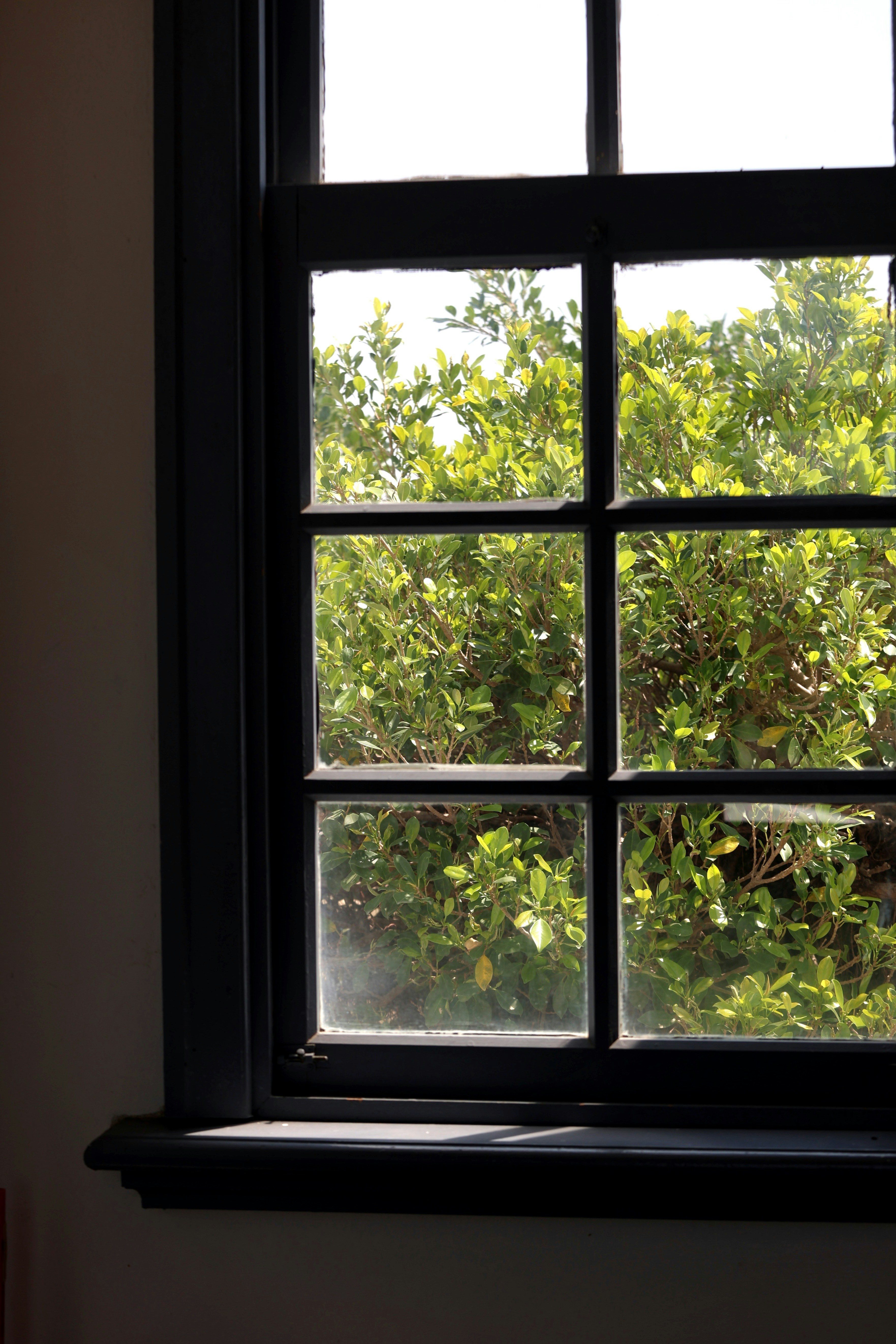 Photo by yoyocameraworld