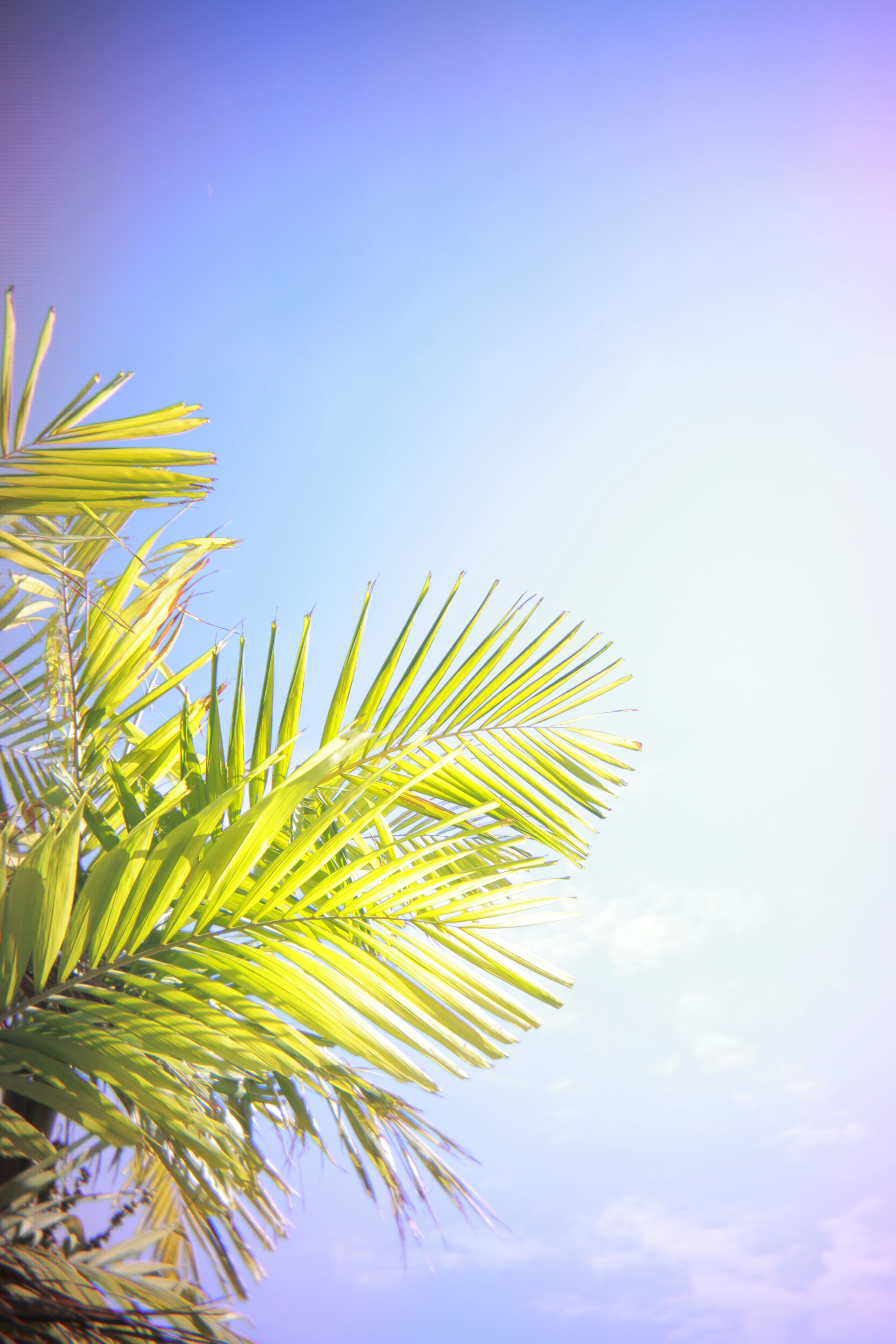 Photo by yoyocameraworld