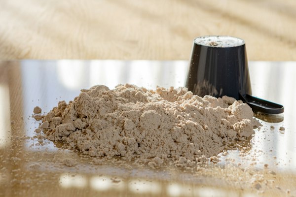 Best Protein Powder Sensitive Stomach