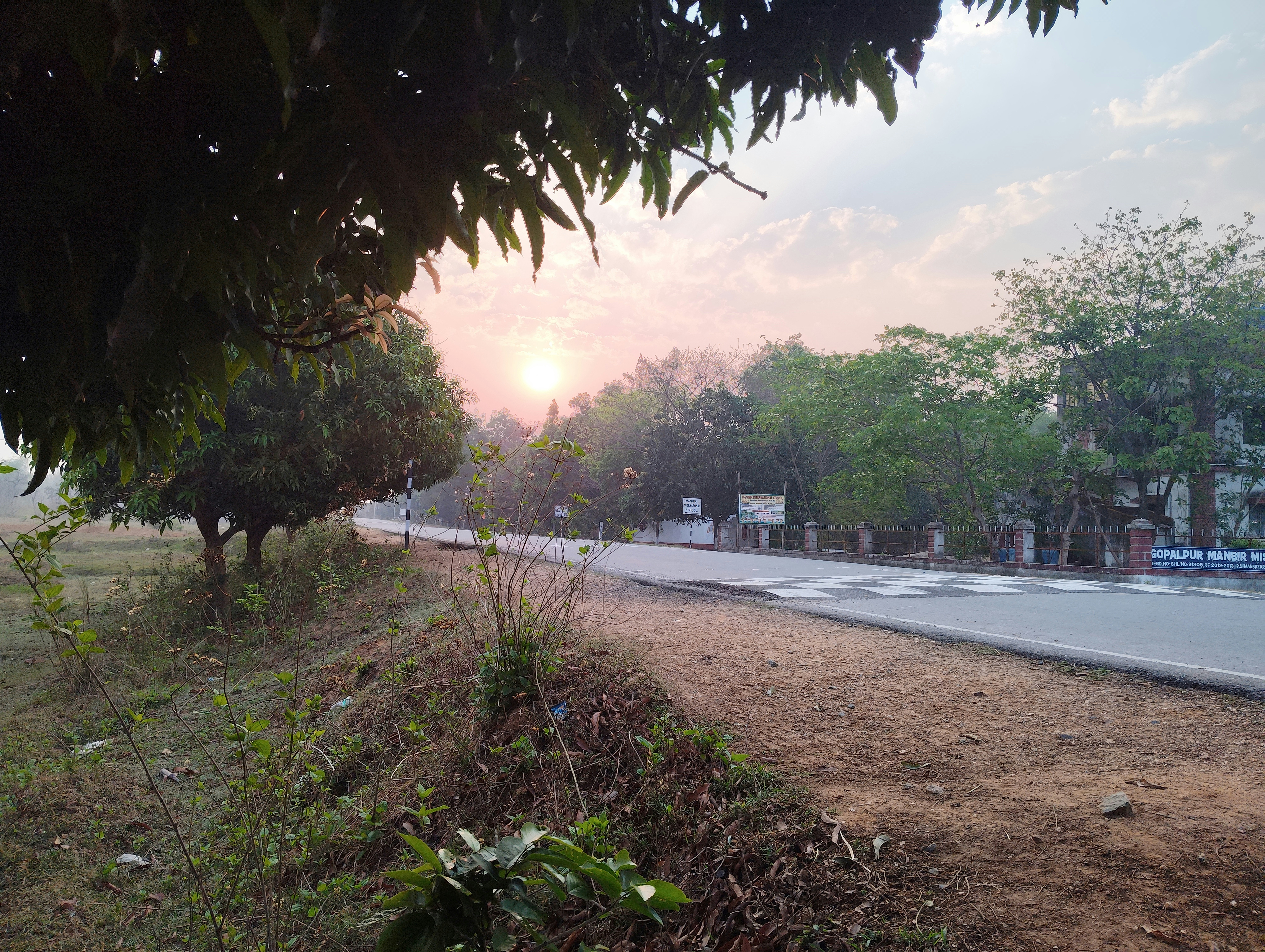 Sunrise over a tree-lined road with dry grass