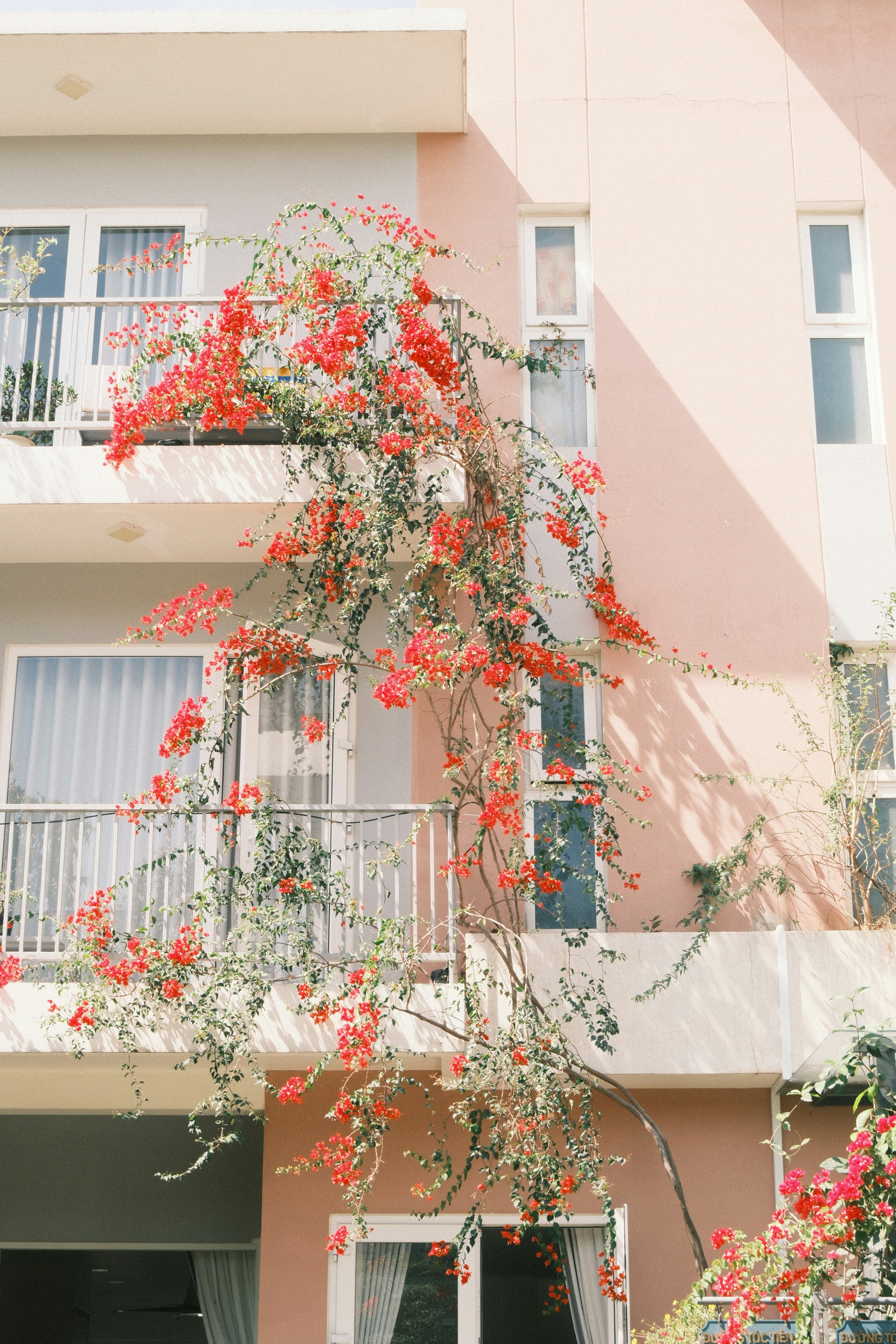 Photo by natalienpngoc