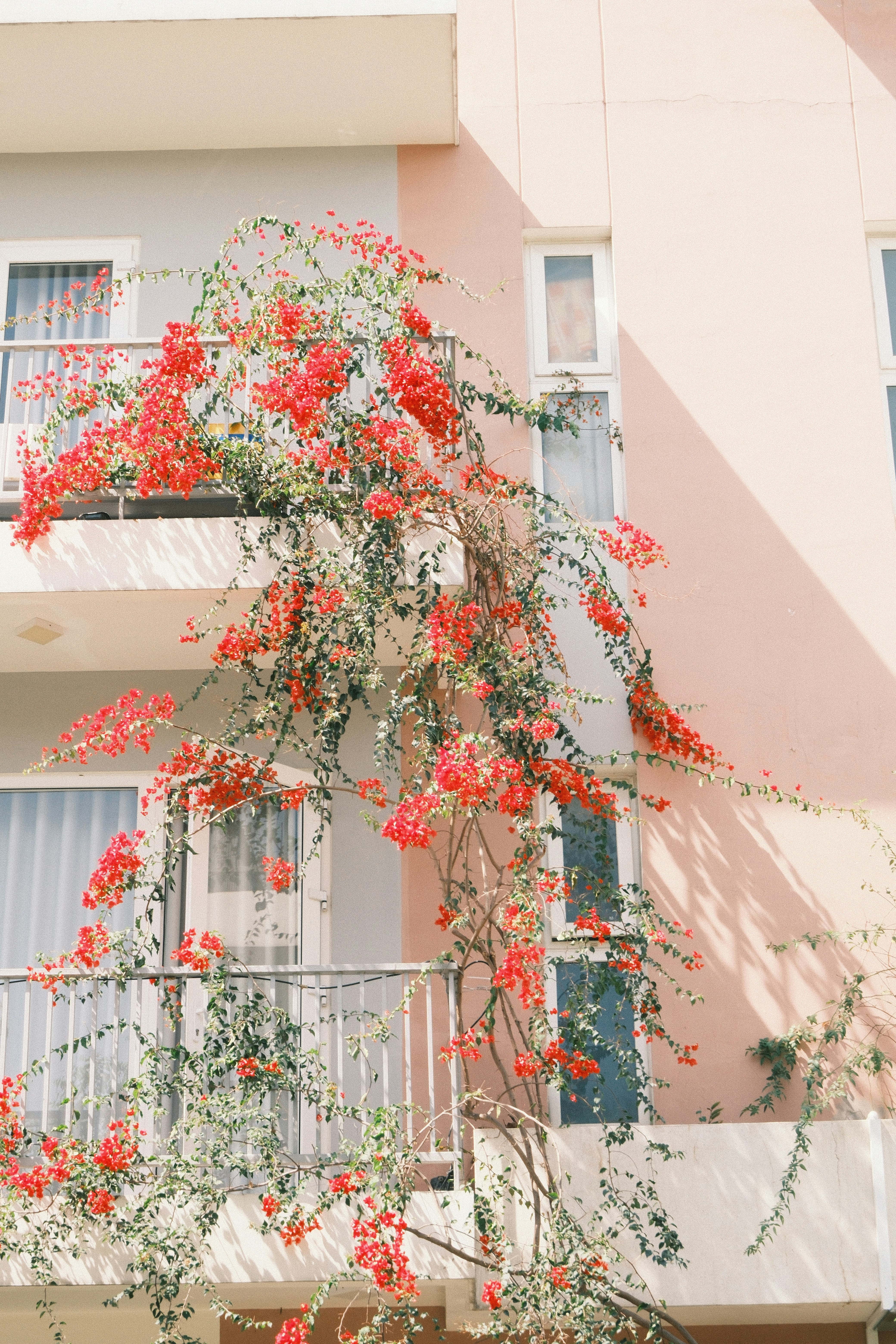 Photo by natalienpngoc