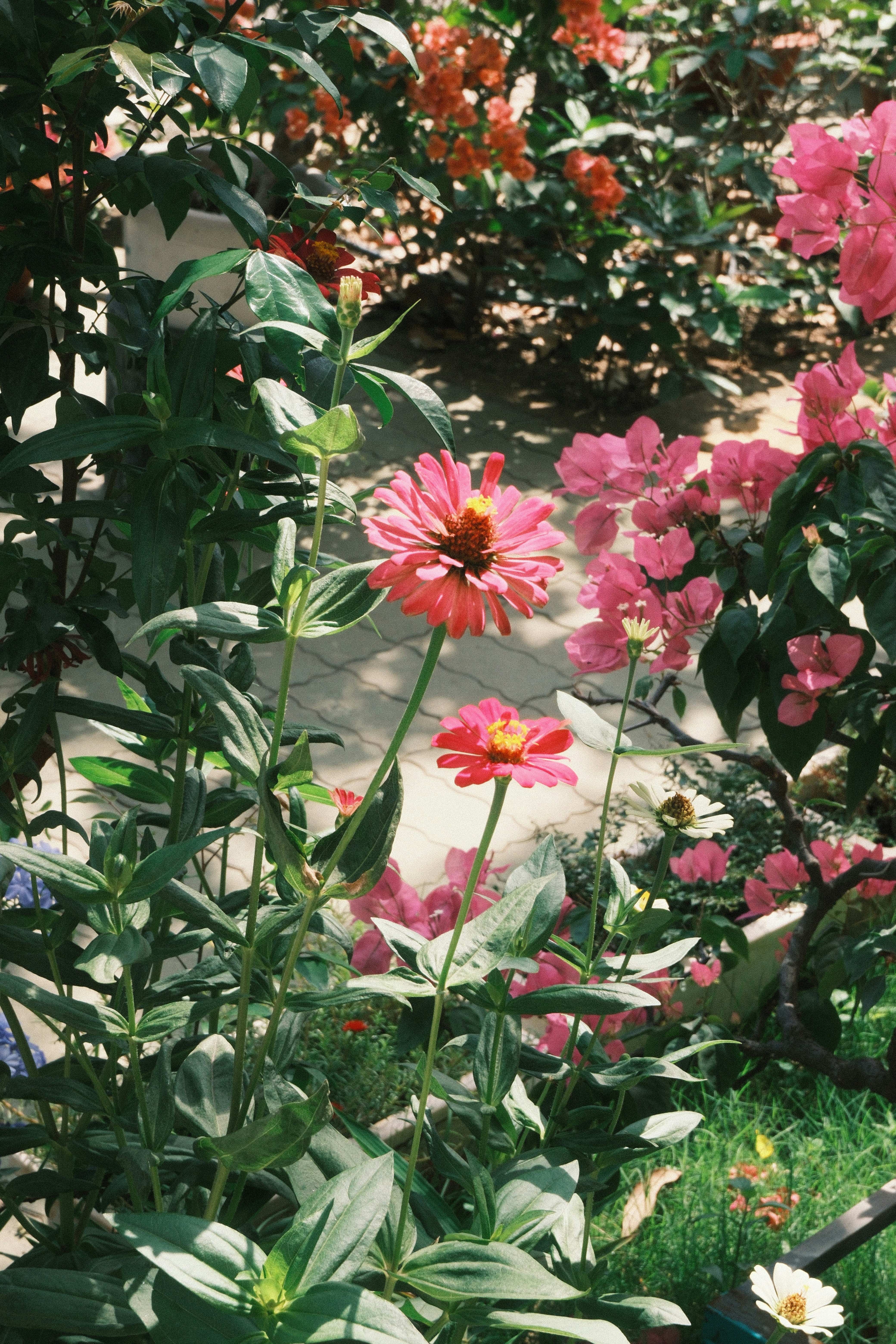 Photo by natalienpngoc