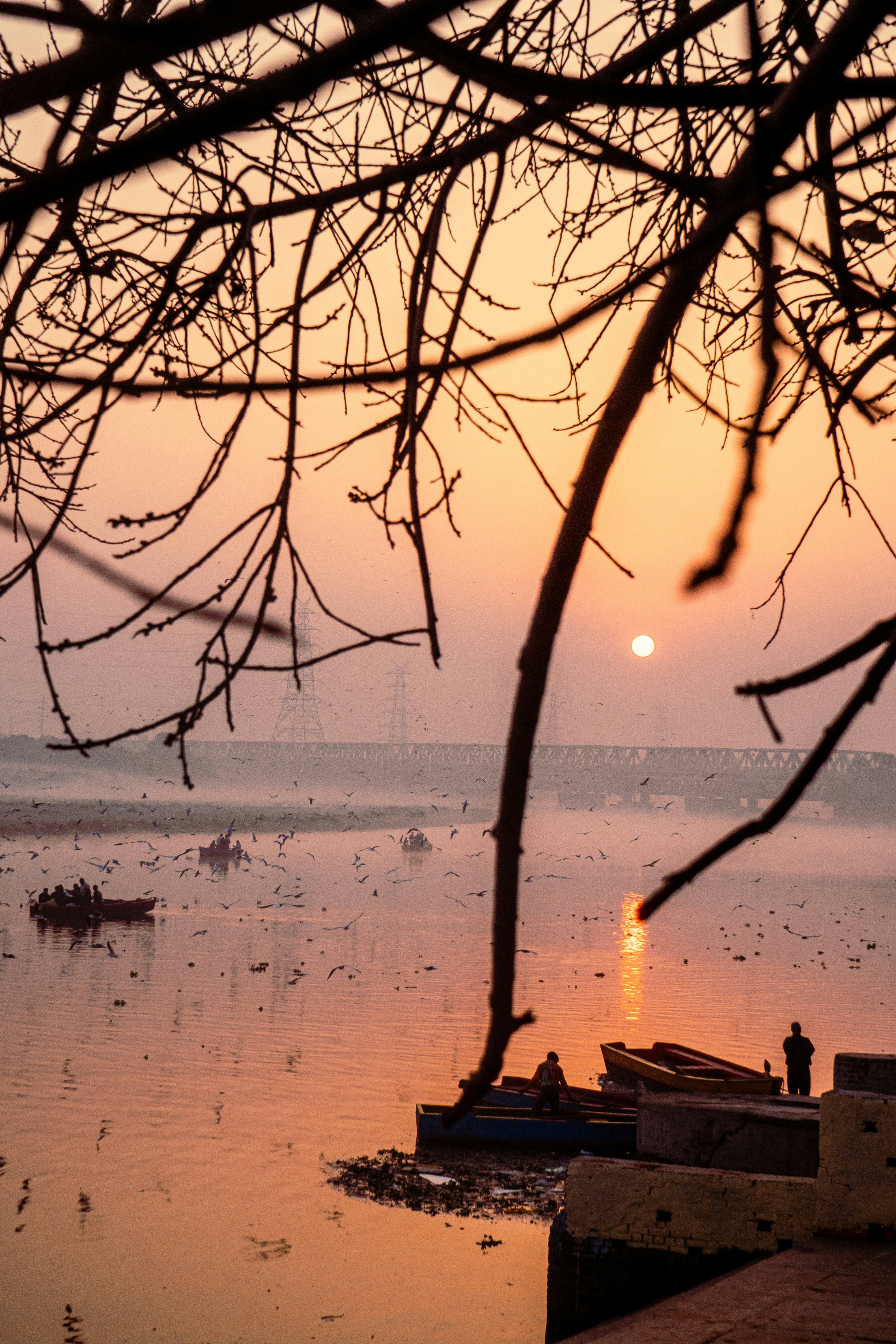 Barcos en un río al amanecer con ramas recortadas.