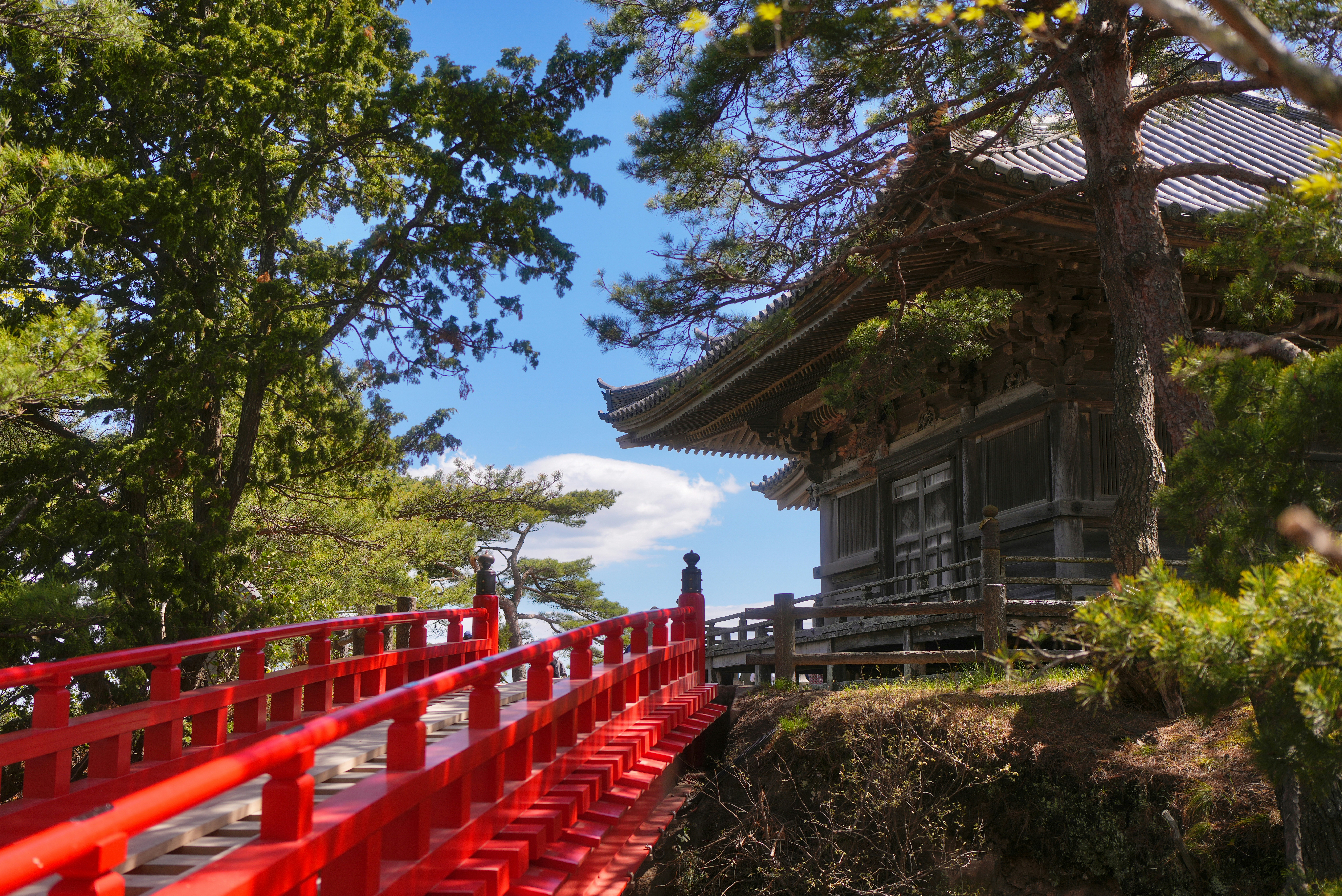 Photo by laszlooveges