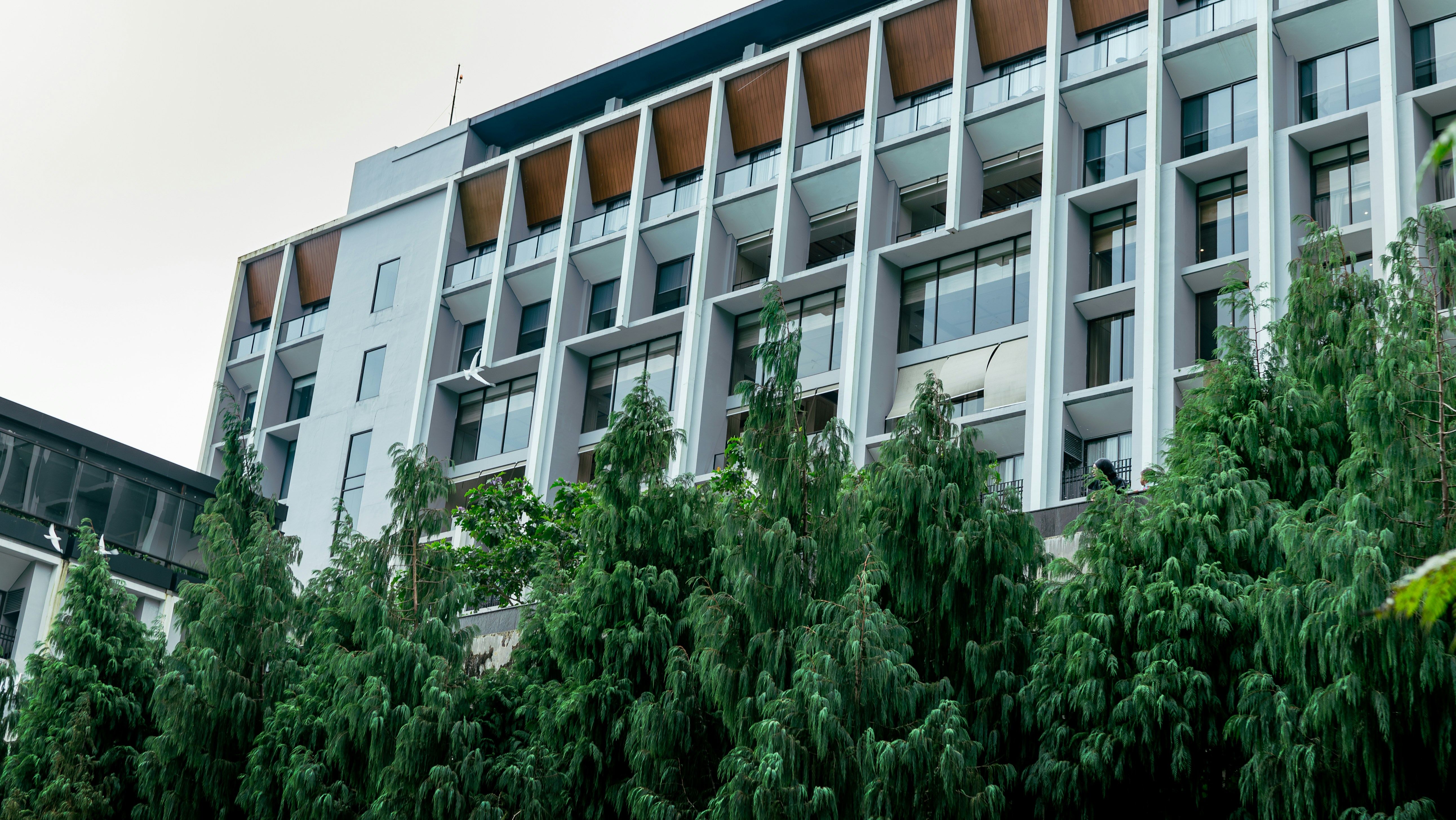 Modern apartment building with green trees in foreground