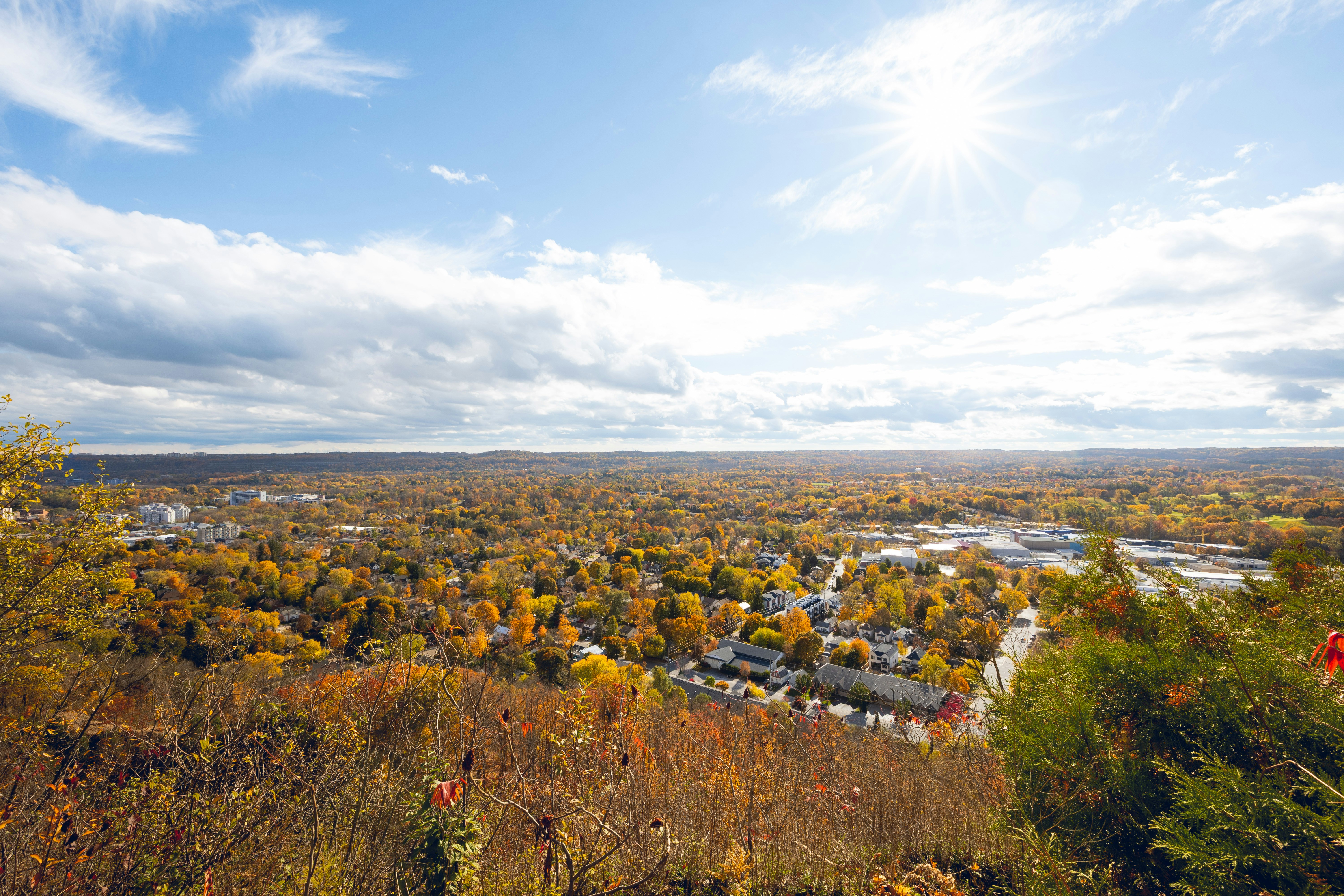 Hamilton City Lake