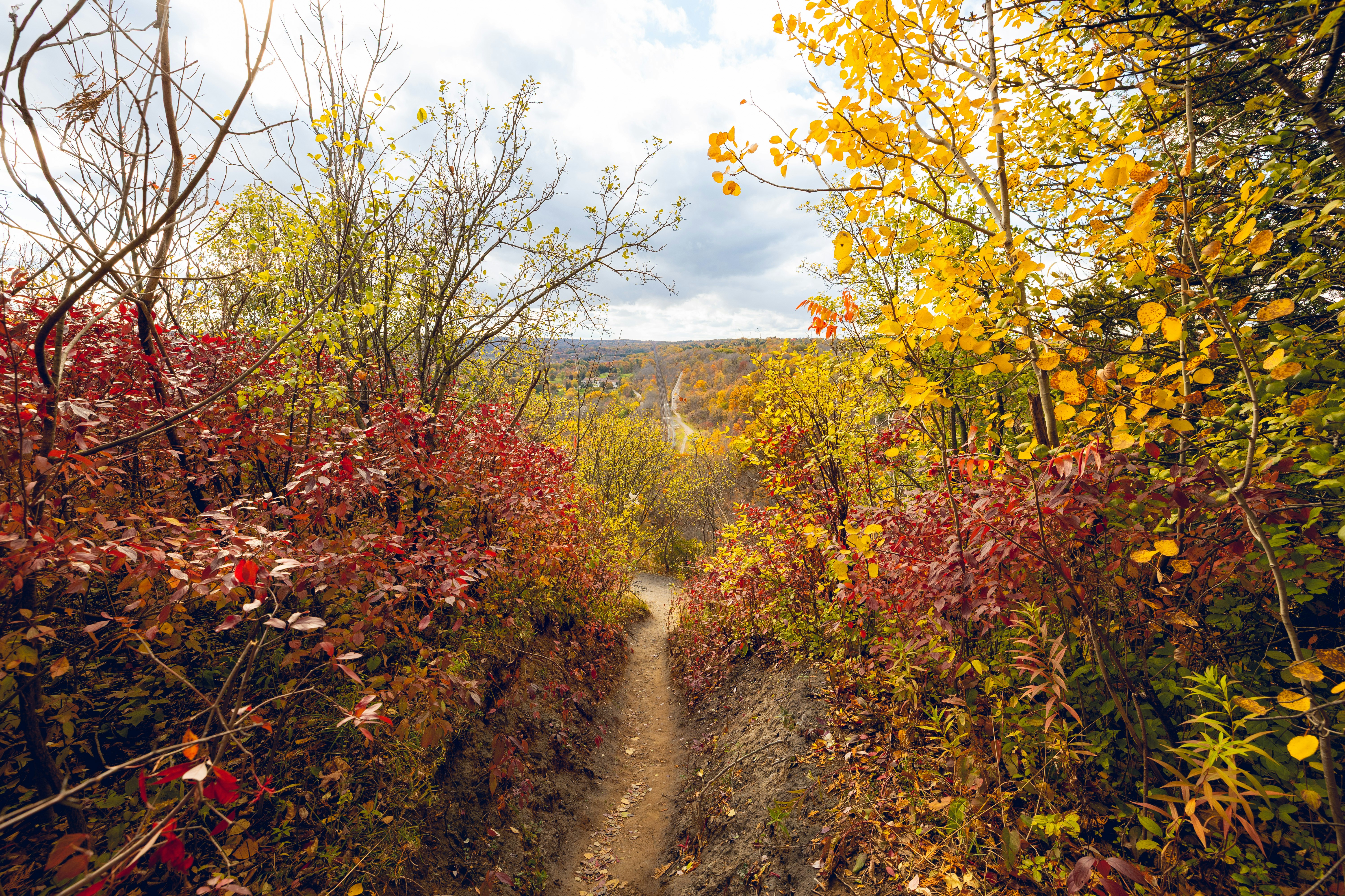 River Trails Park