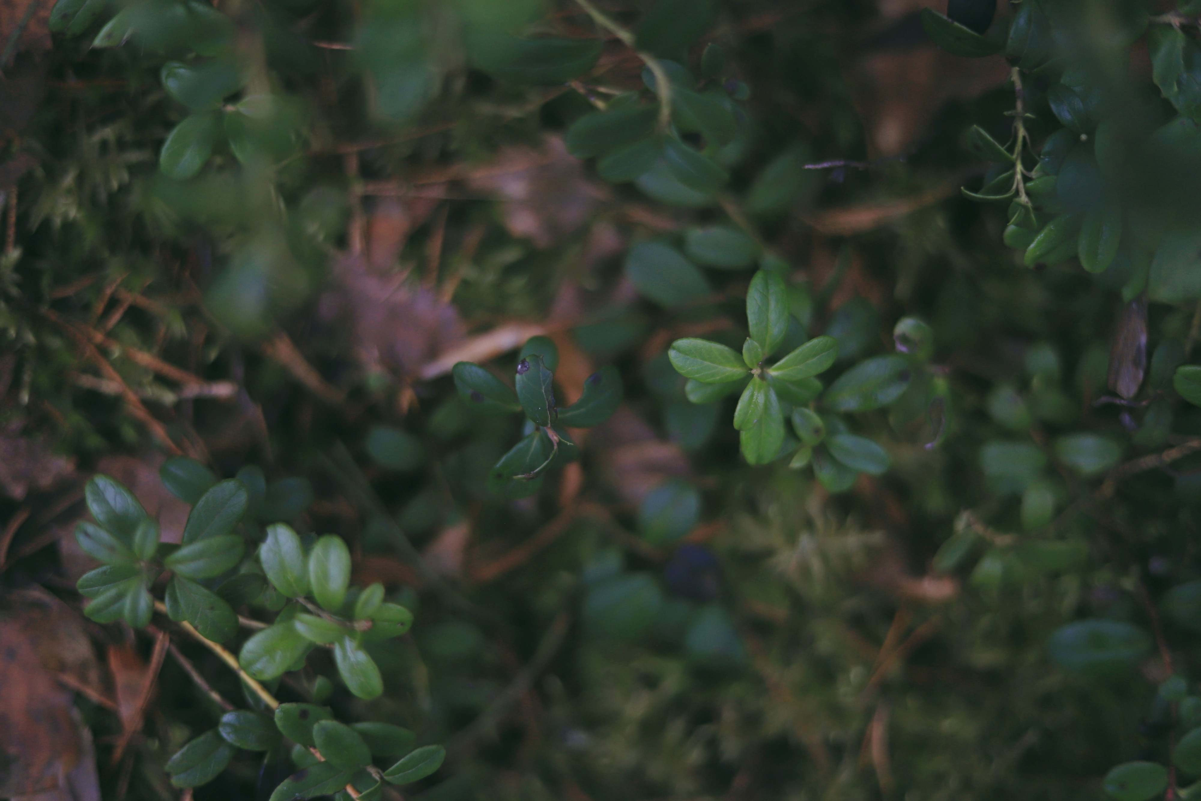 Photo by white_on_white