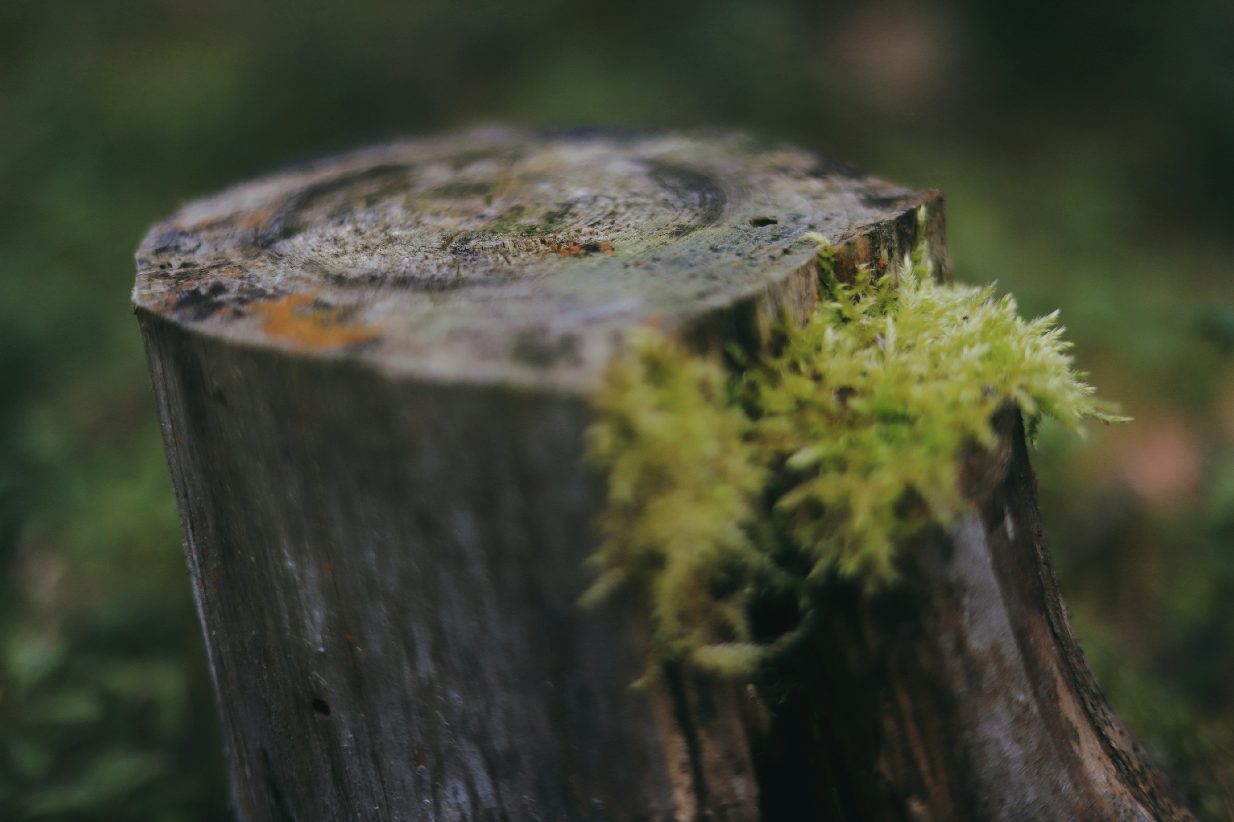 Photo by white_on_white