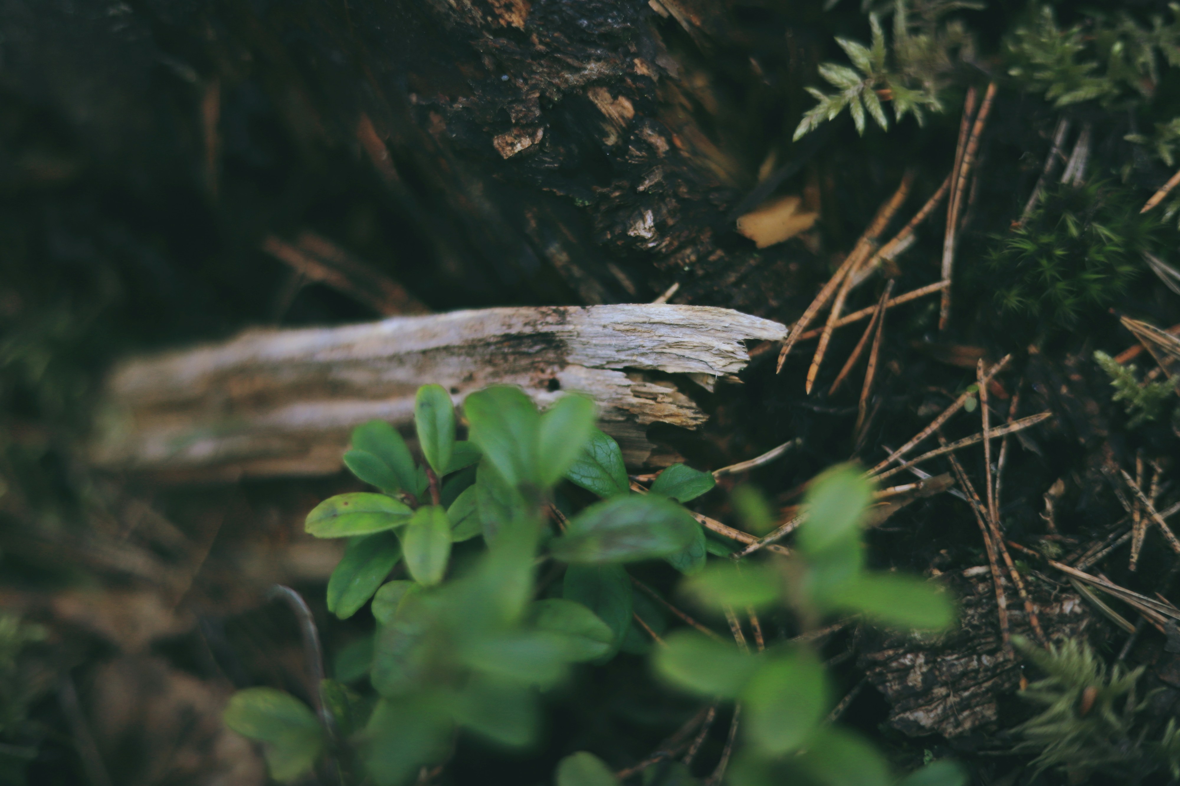 Photo by white_on_white