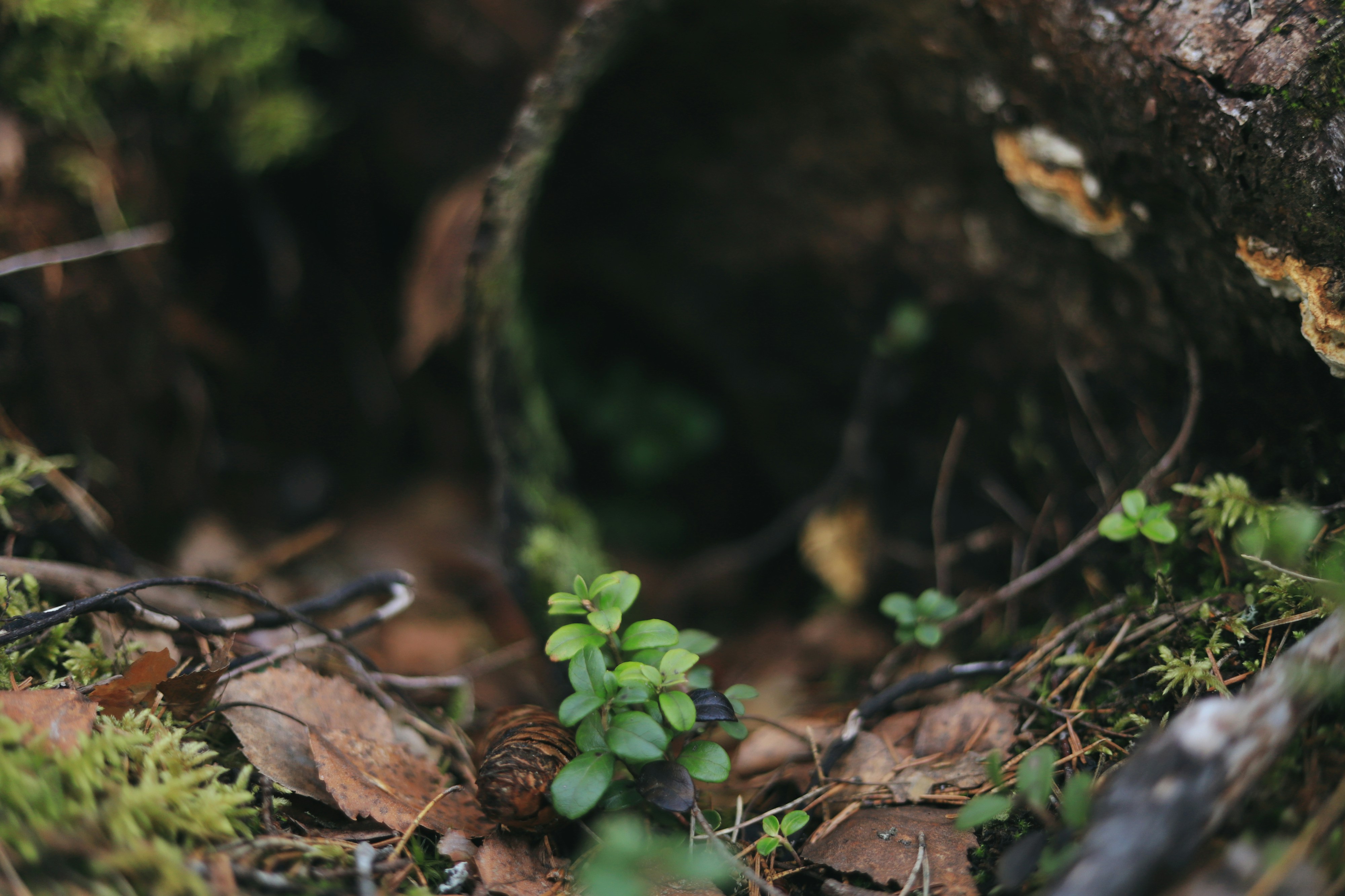 Photo by white_on_white