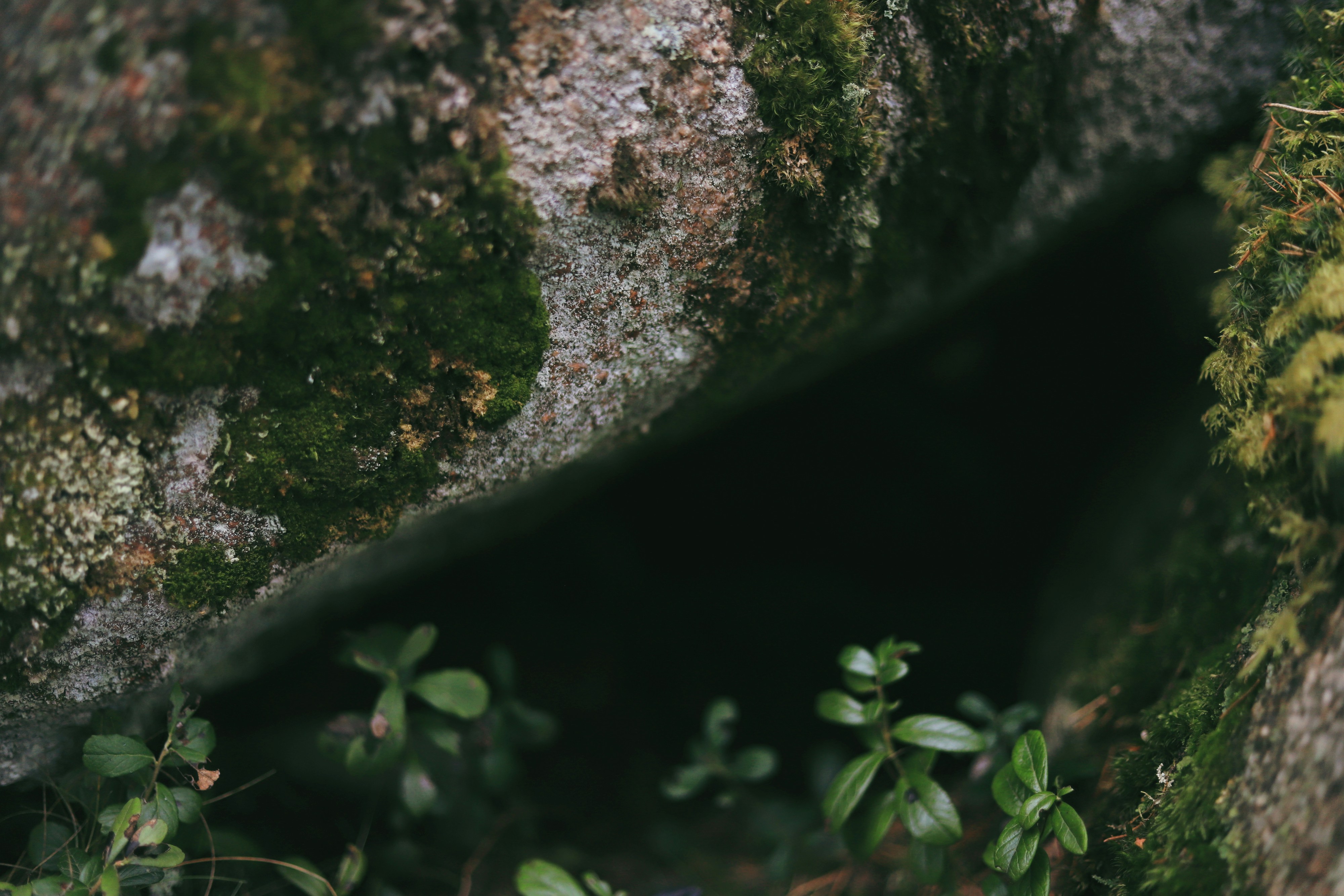 Photo by white_on_white