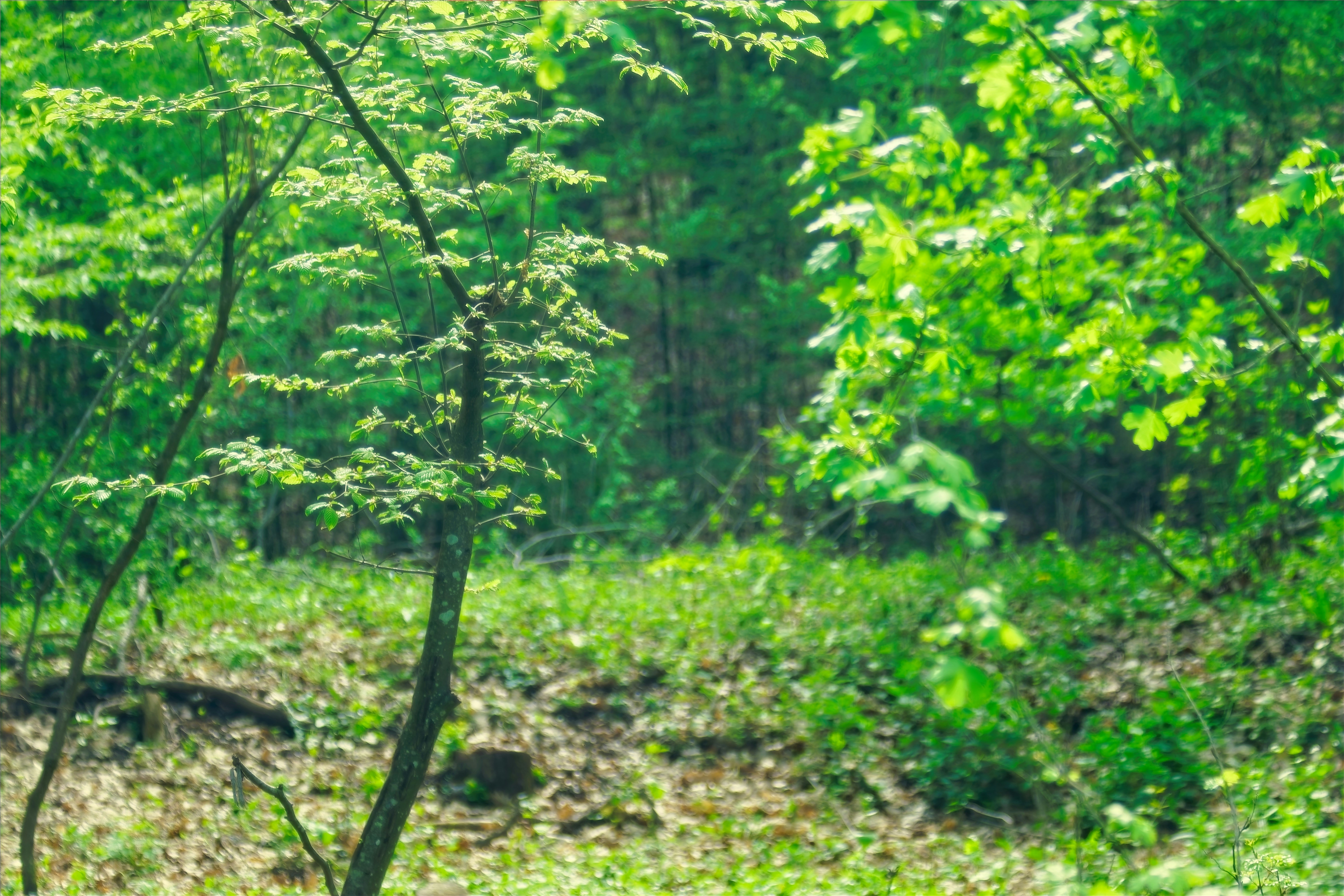 Photo by outofcenter