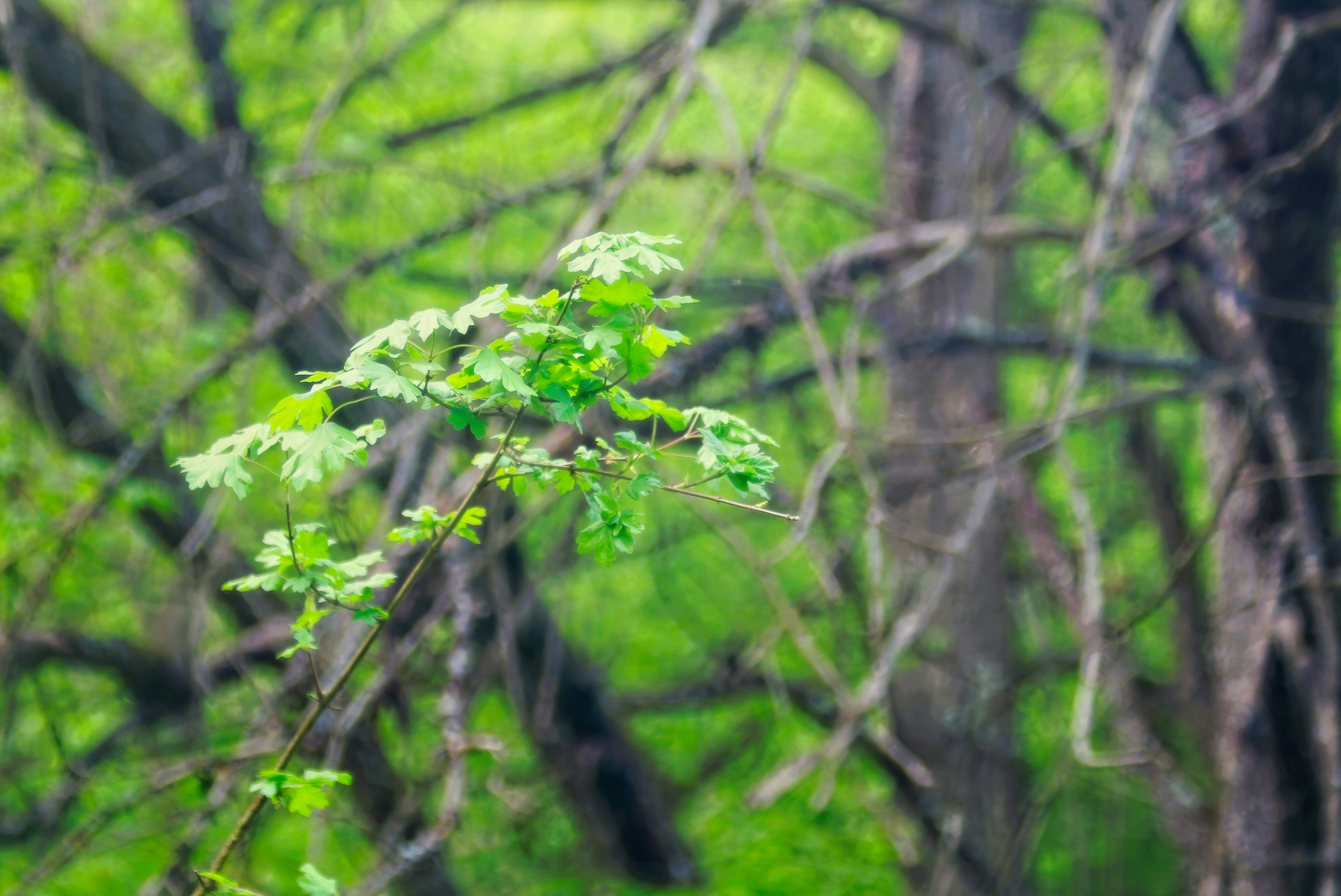 Photo by outofcenter