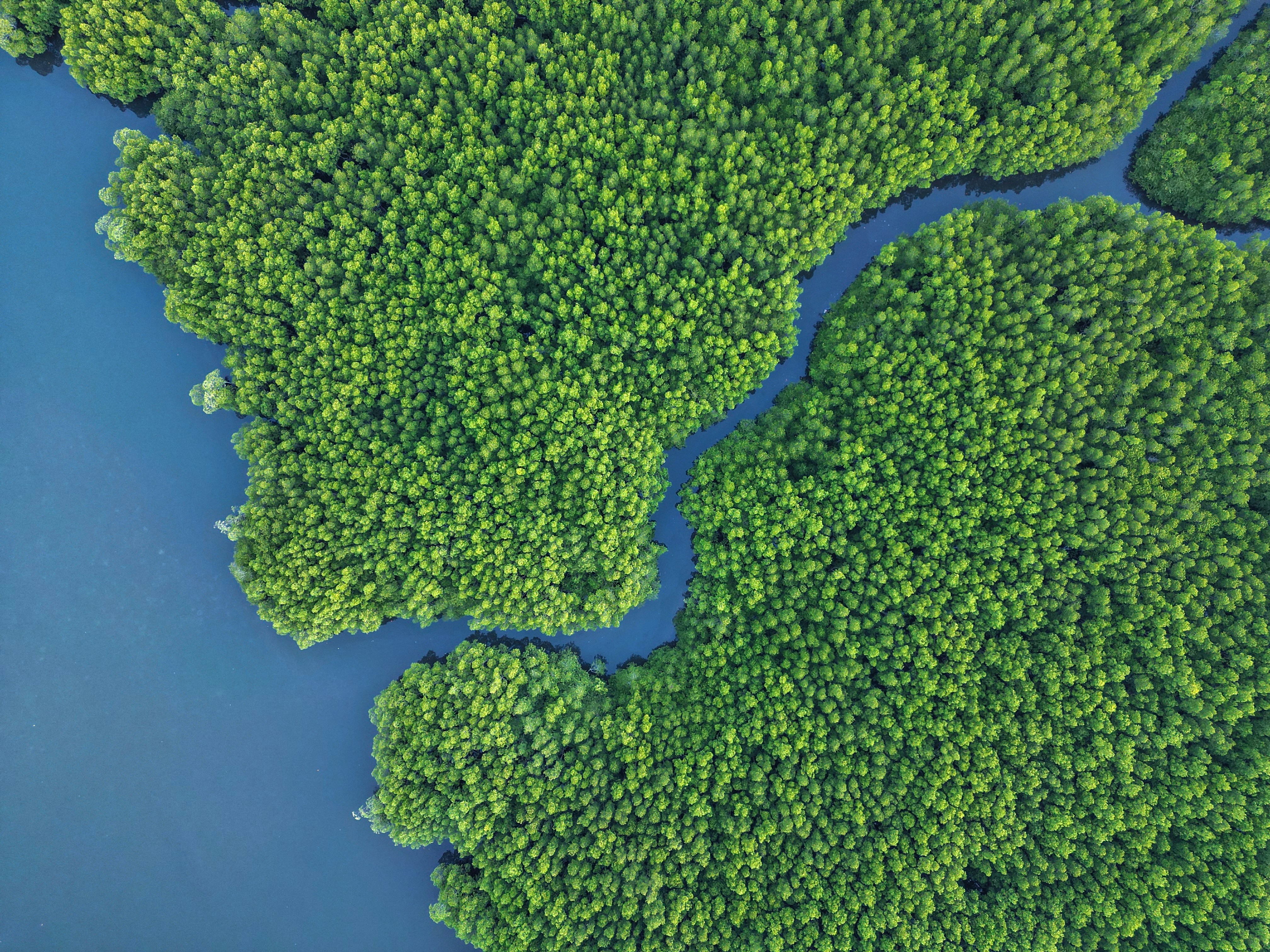 Photo by laszlooveges