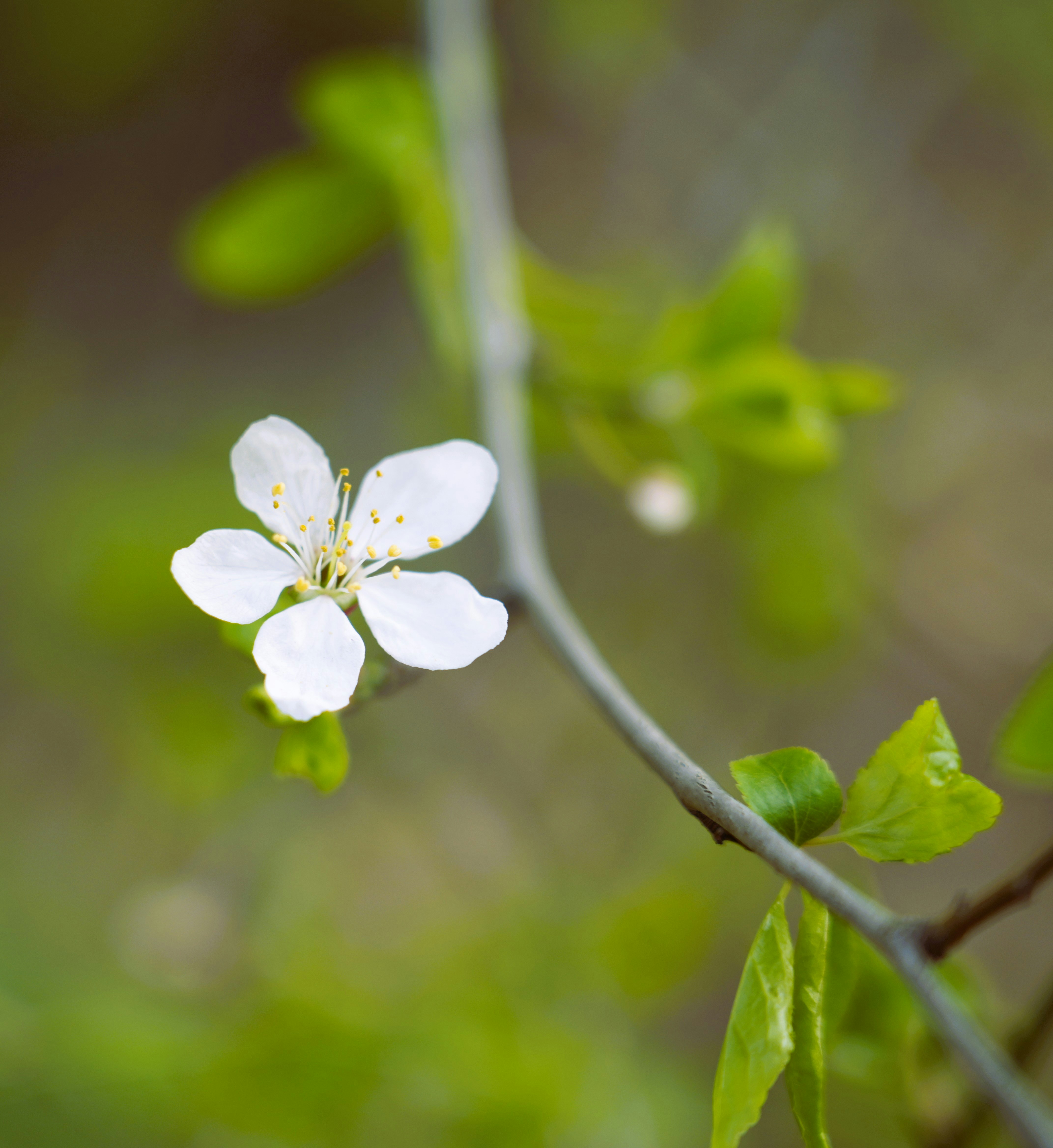 Photo by antjewinkler