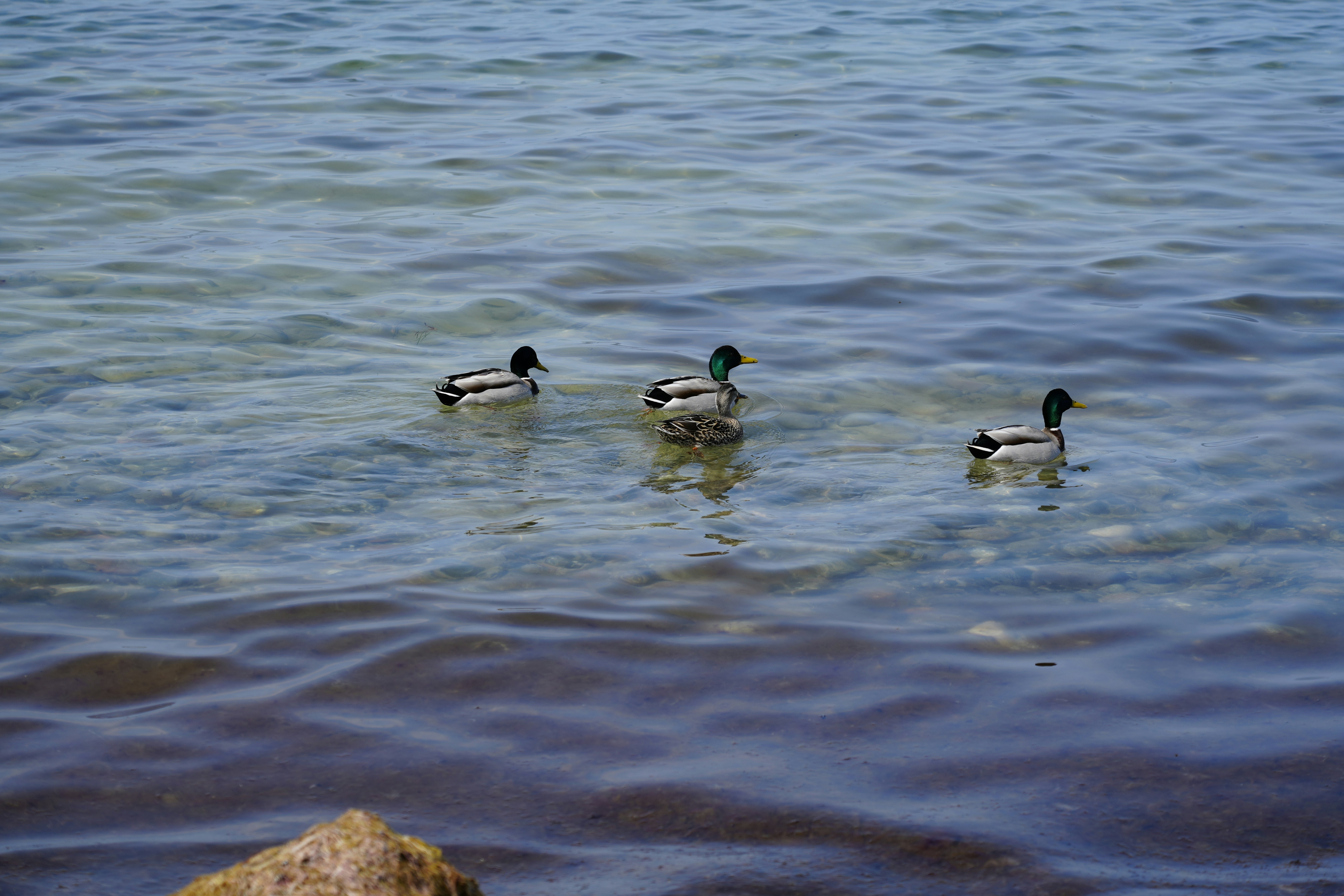 Photo by antjewinkler