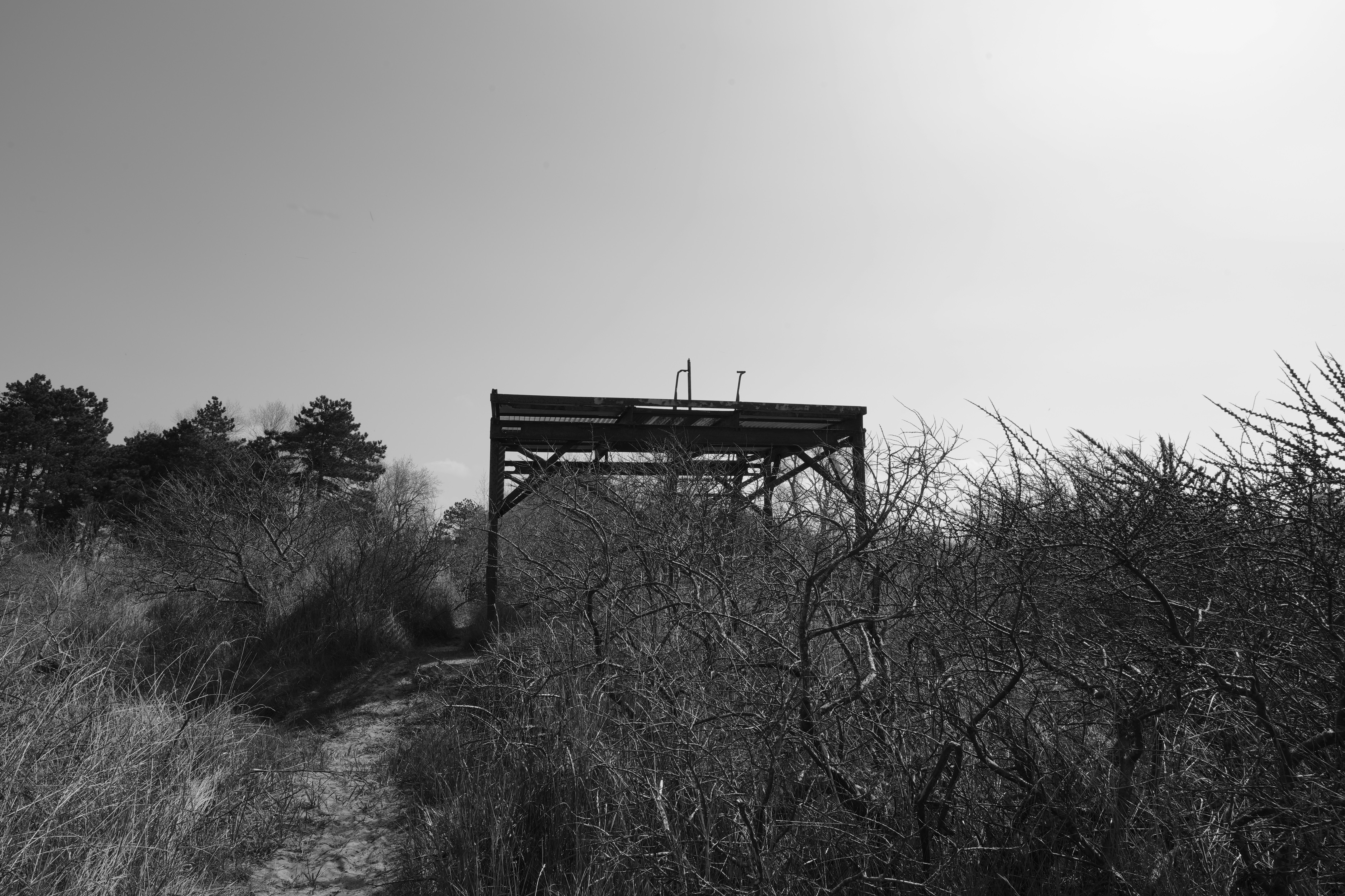 Photo by antjewinkler