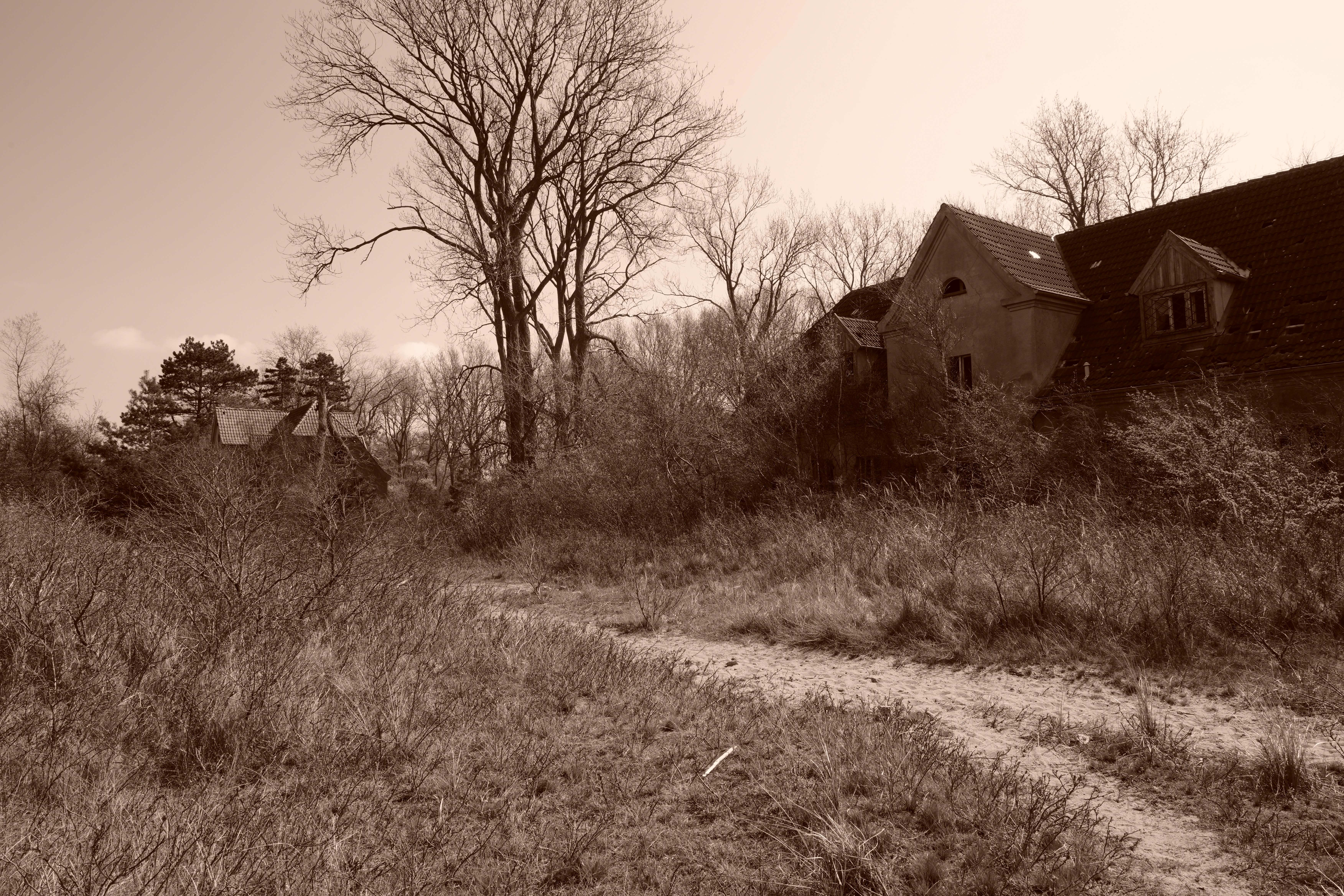 Photo by antjewinkler