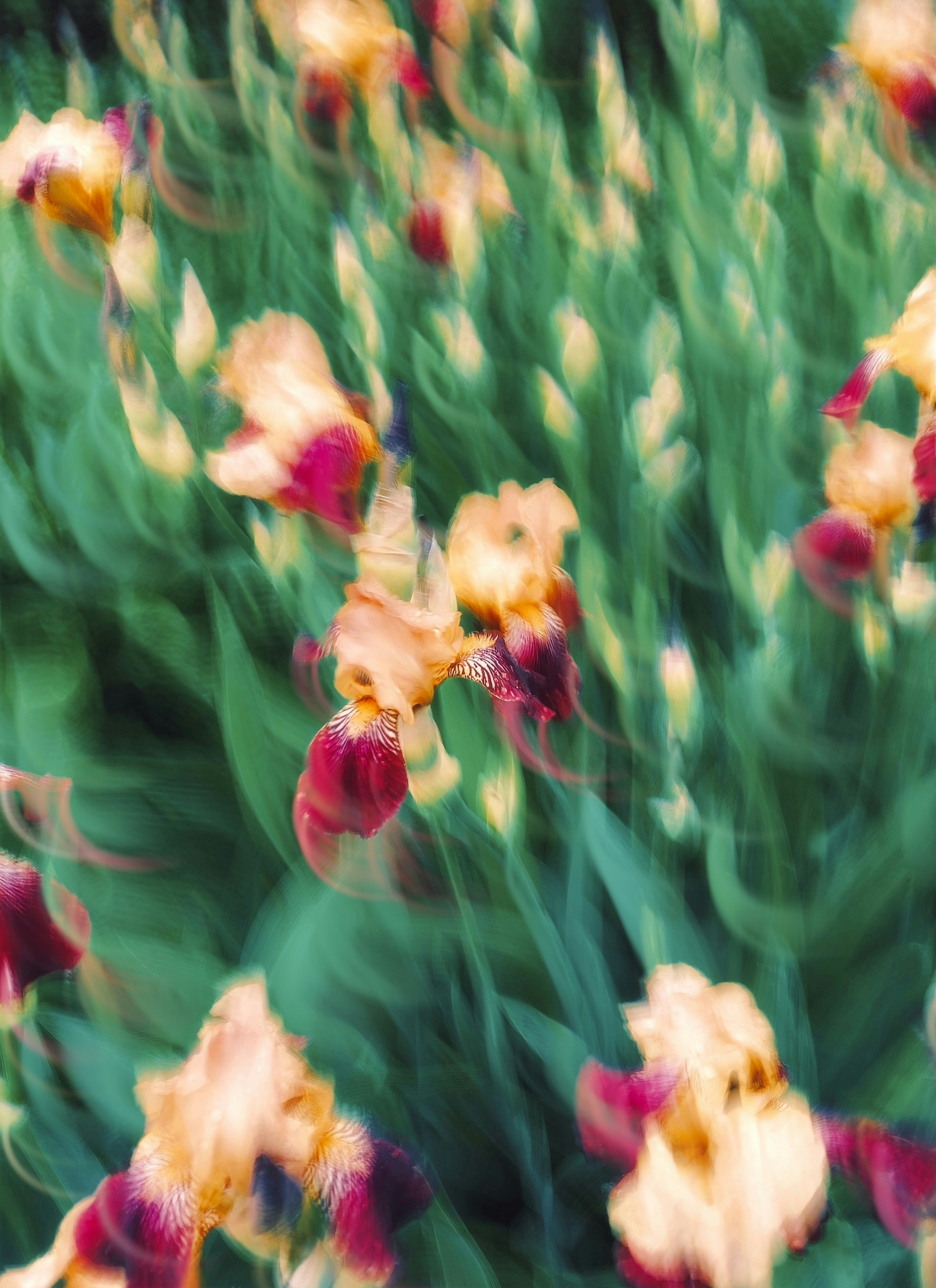 Photo by eugene_golovesov