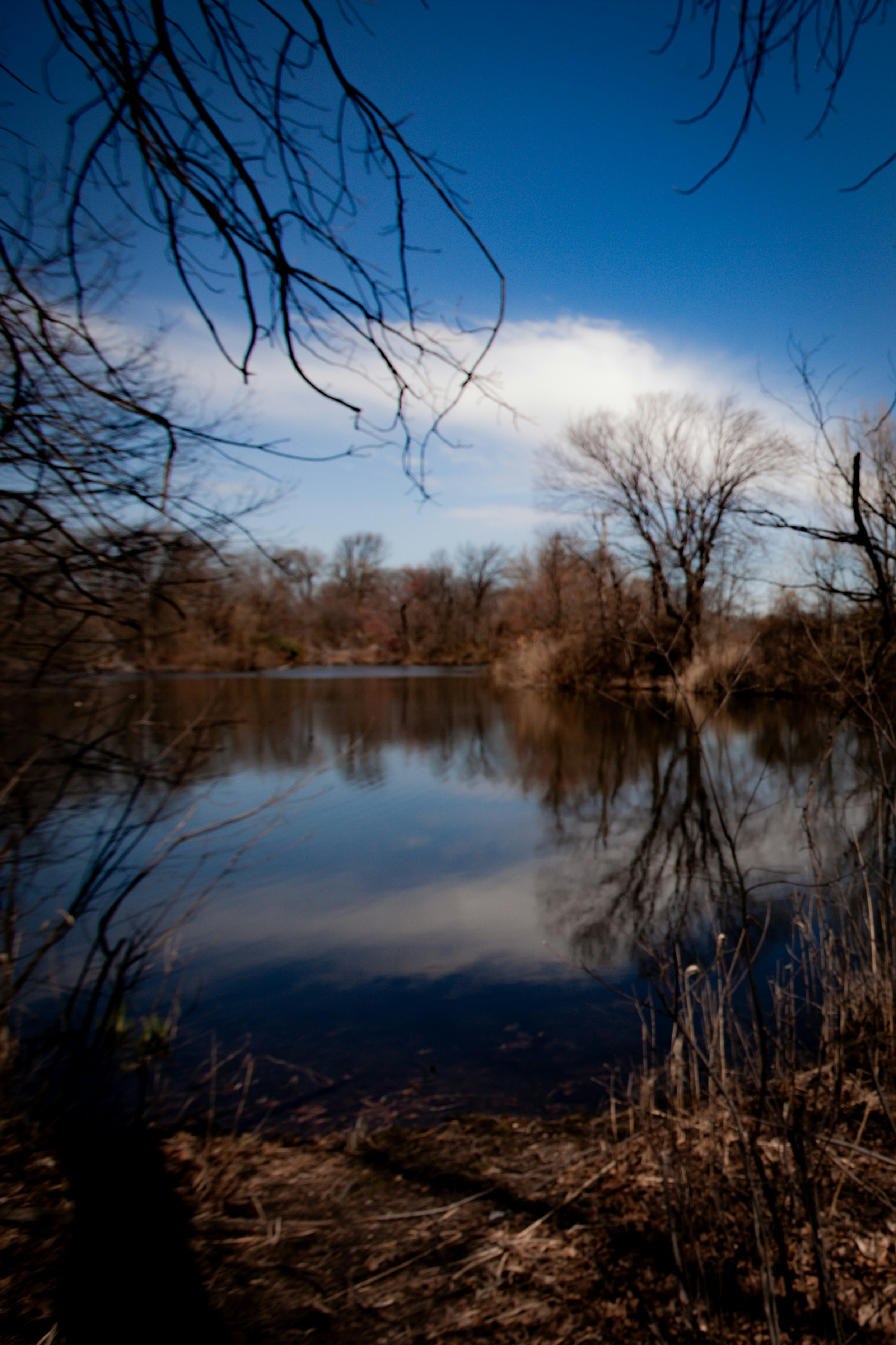 Photo by thegardenstateexplorer