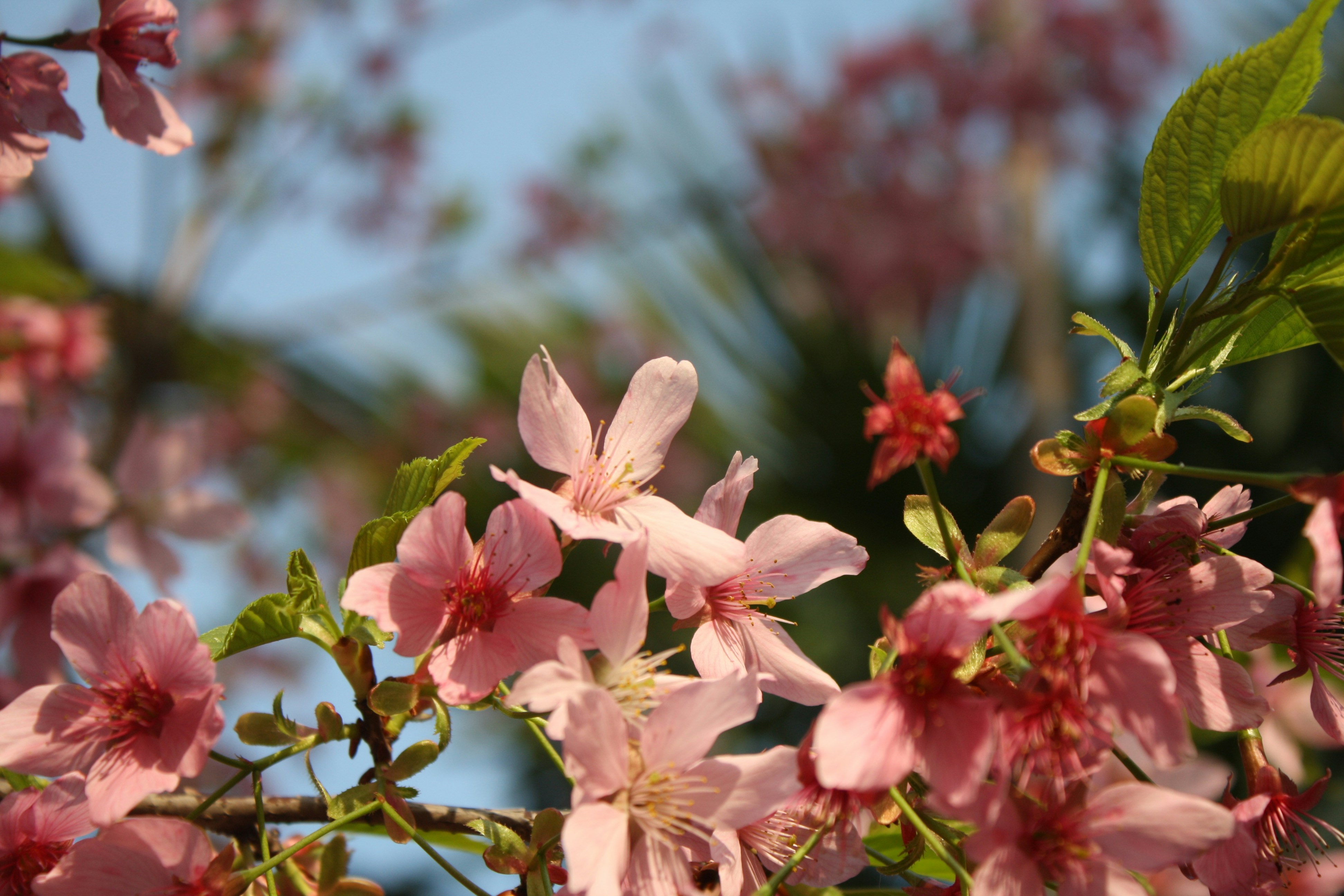 Photo by zhangxiaobo