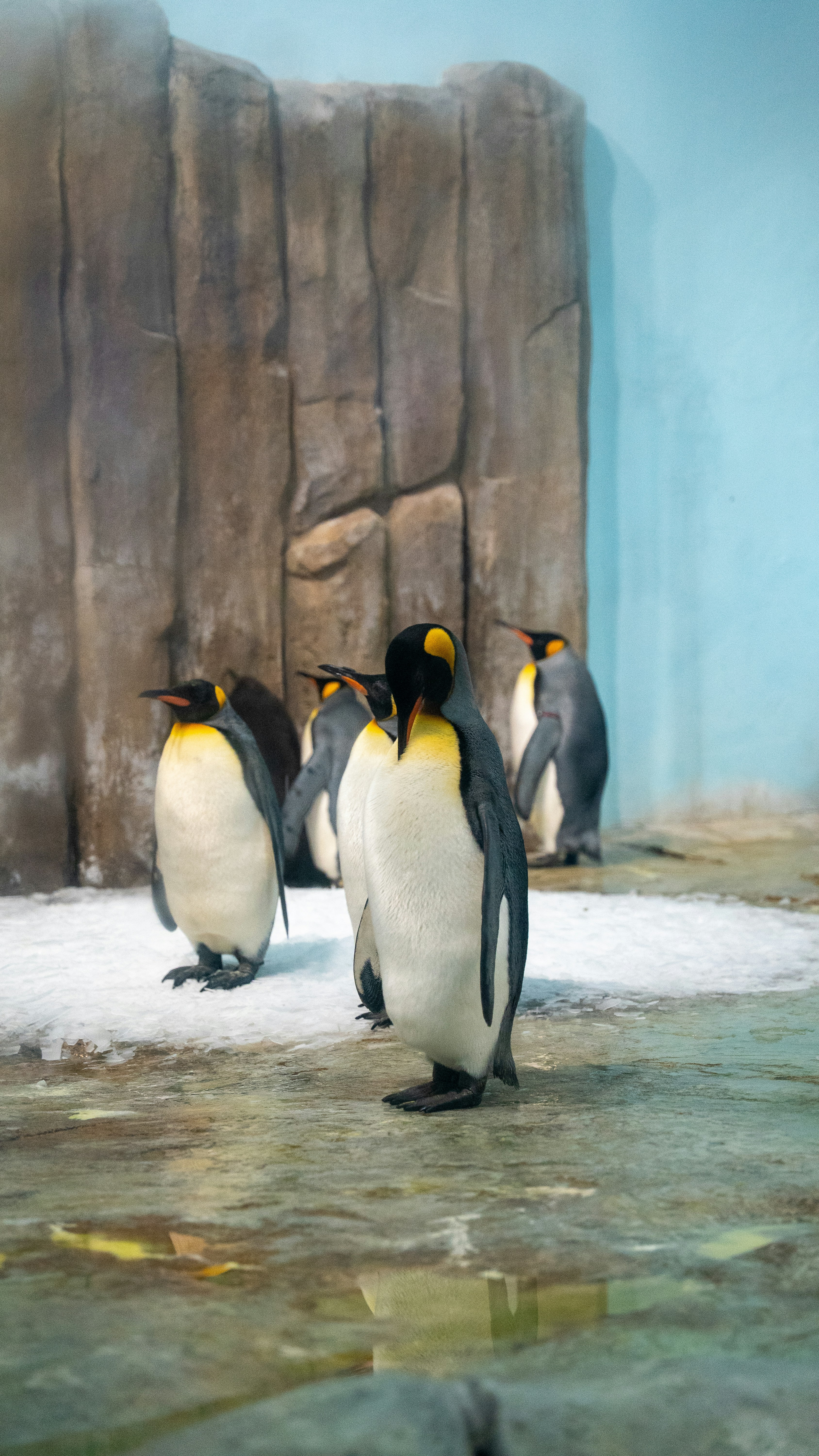 Photo by harrisonmitchell