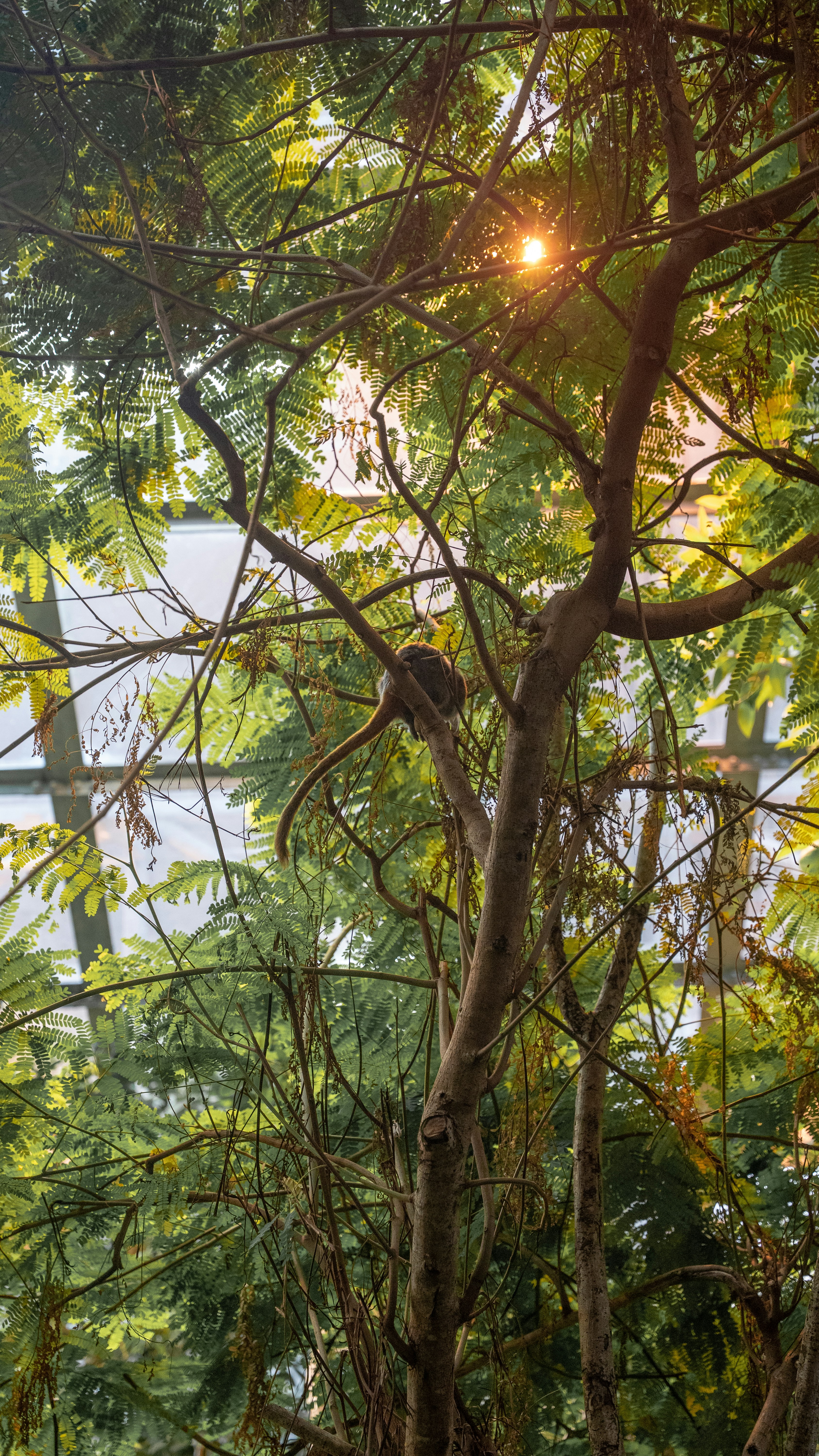 Photo by harrisonmitchell