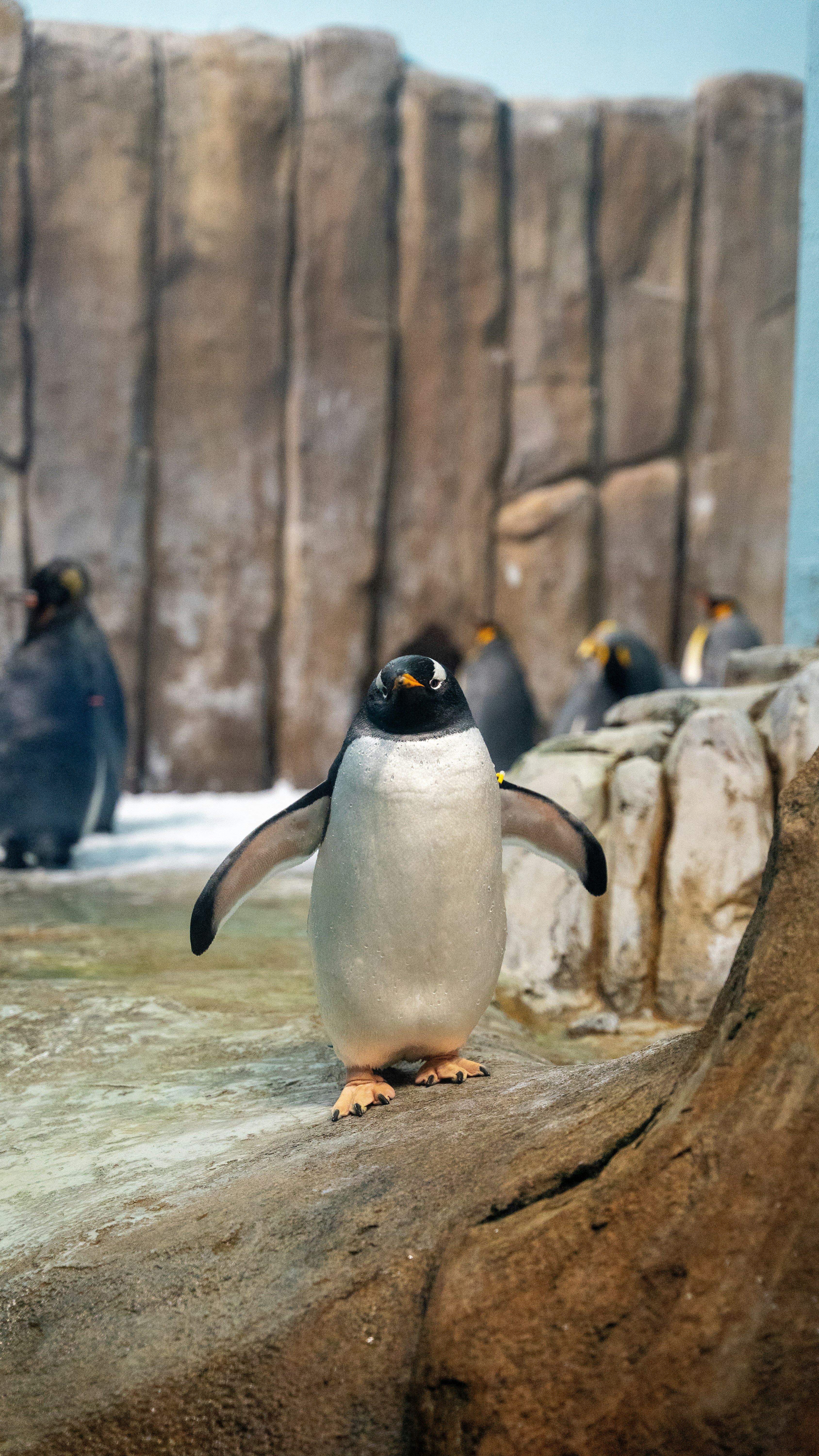 Photo by harrisonmitchell