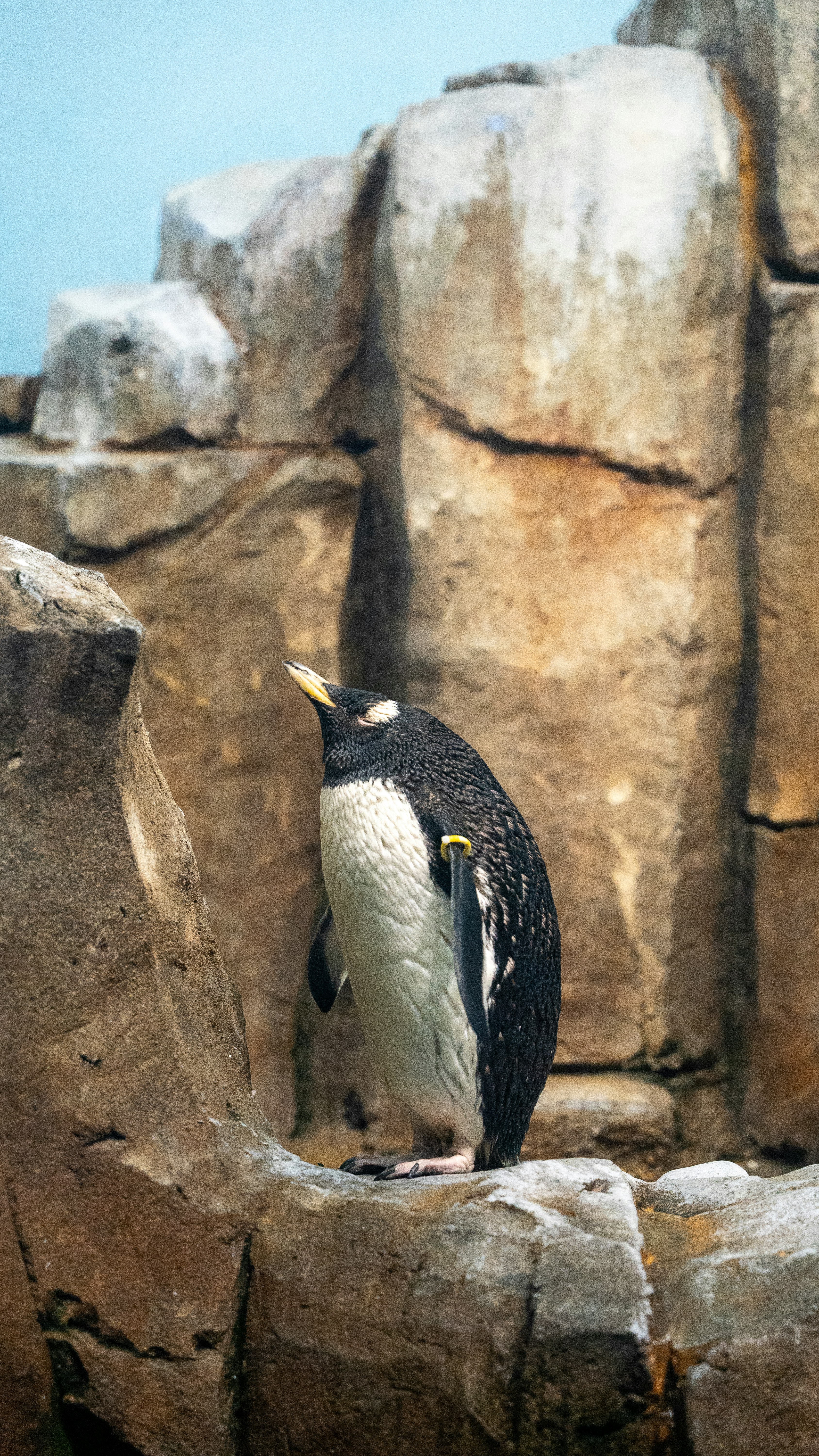 Photo by harrisonmitchell