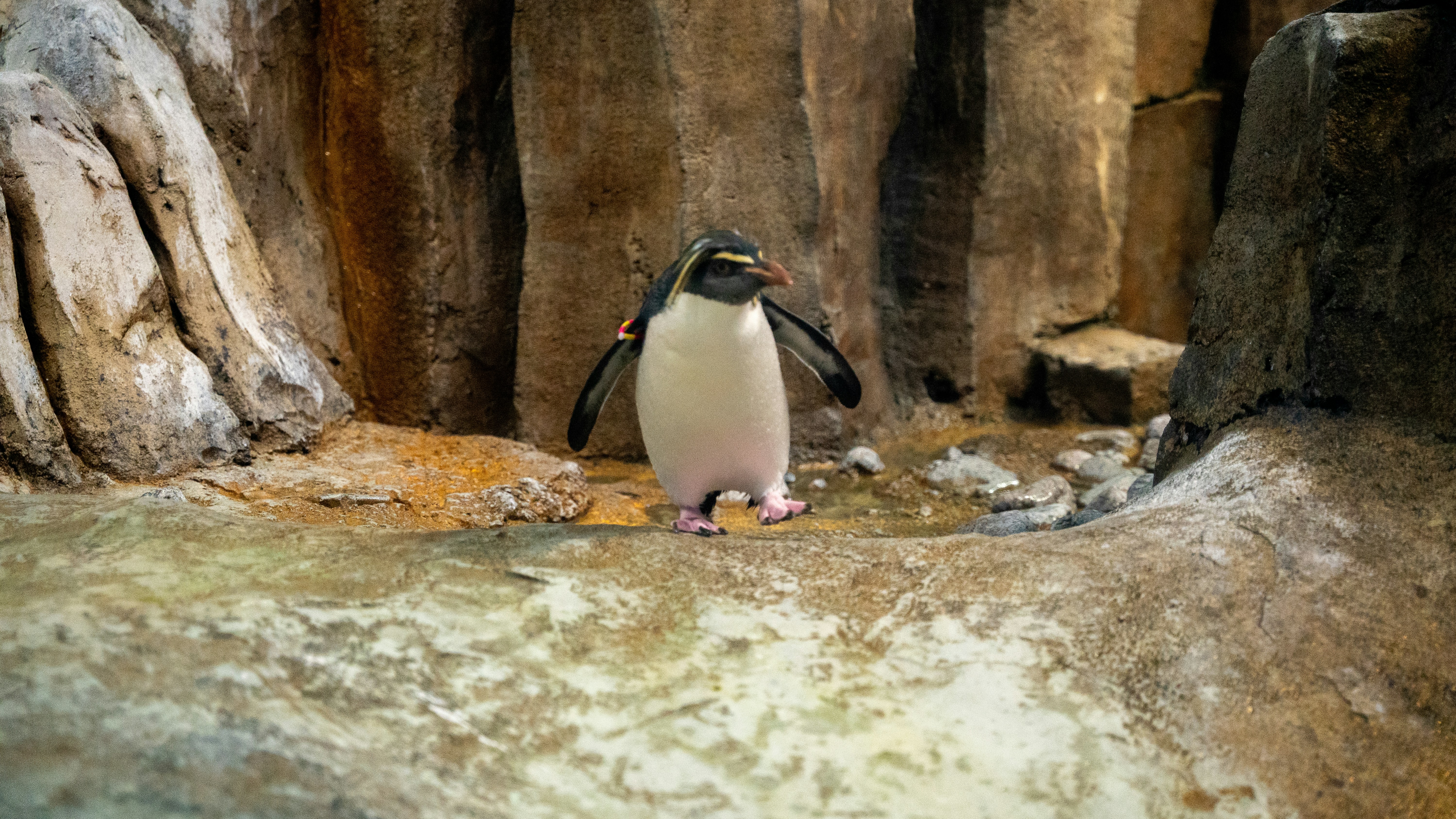 Photo by harrisonmitchell