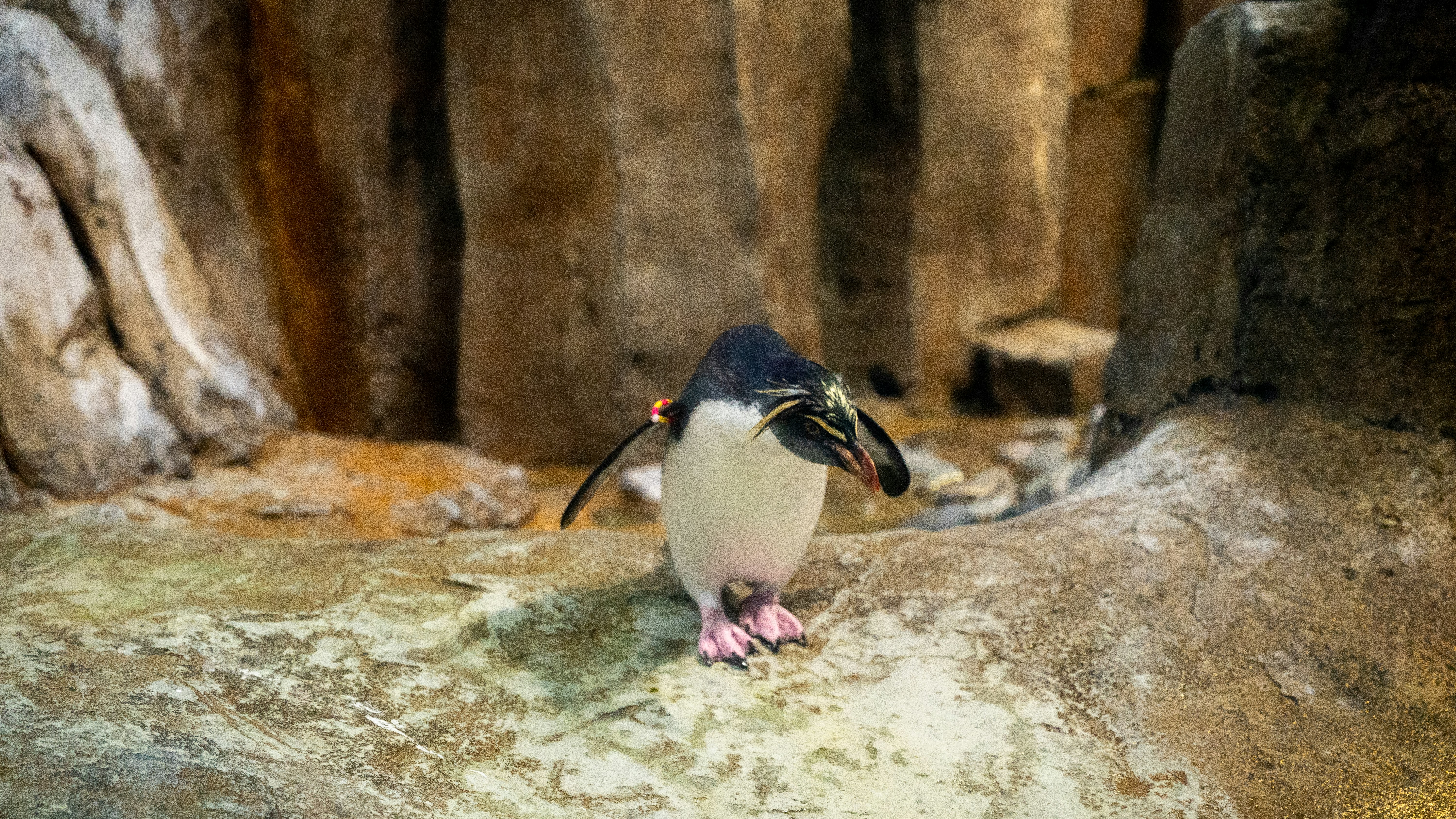 Photo by harrisonmitchell