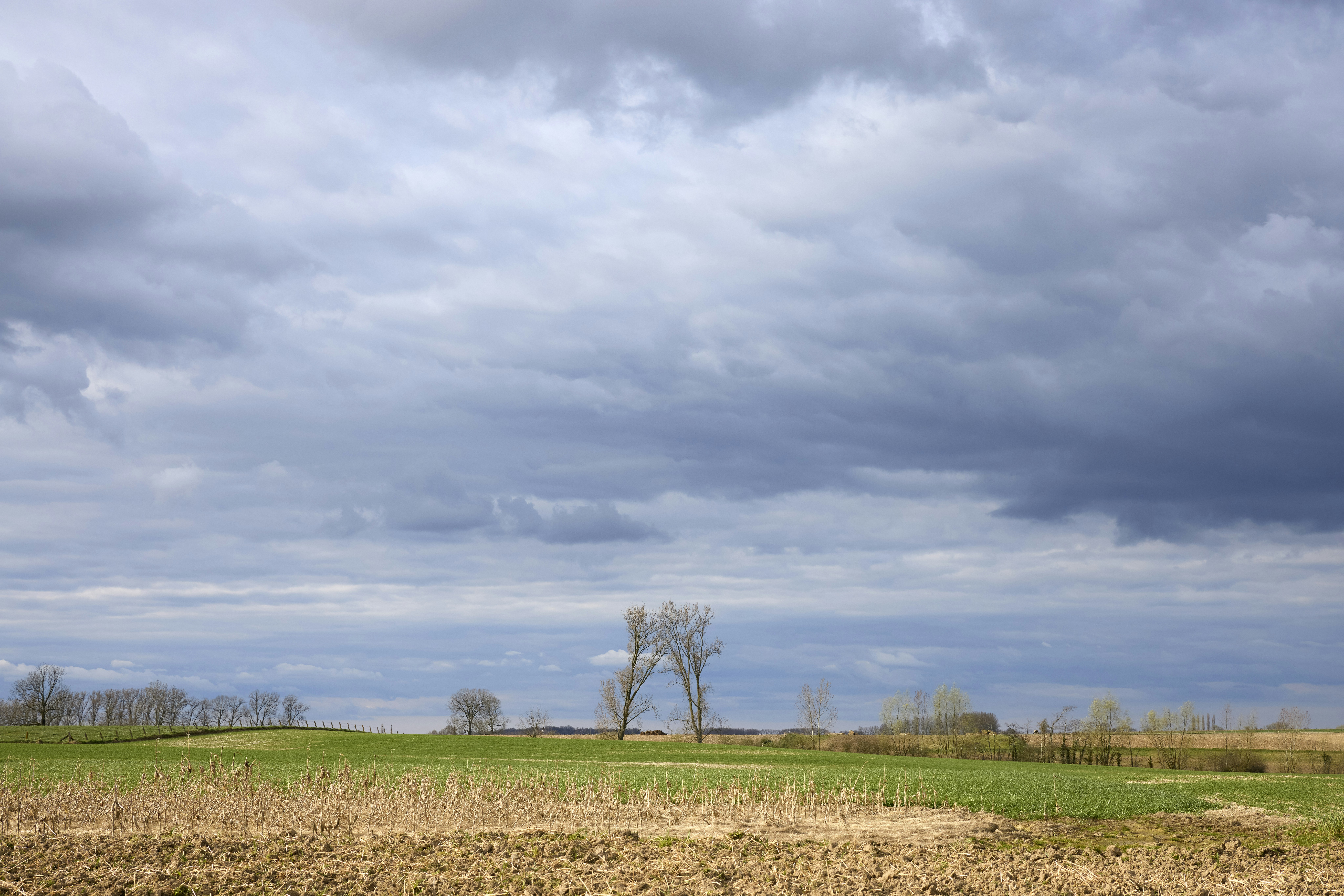 Photo by erwinbosman