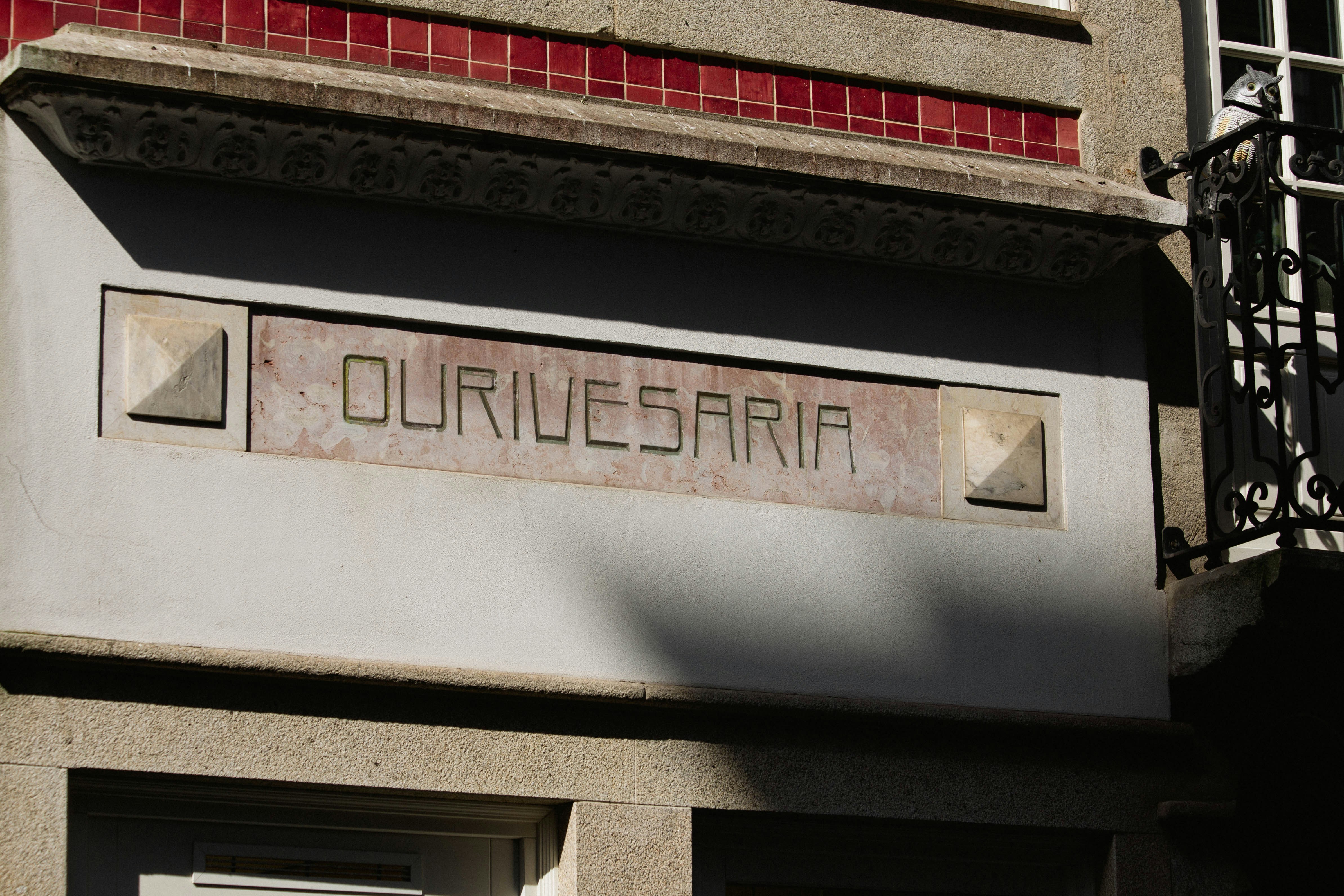 Protocolo Paso A Paso de Rotura fibrilar: problema clinico para pacientes mayores de 55