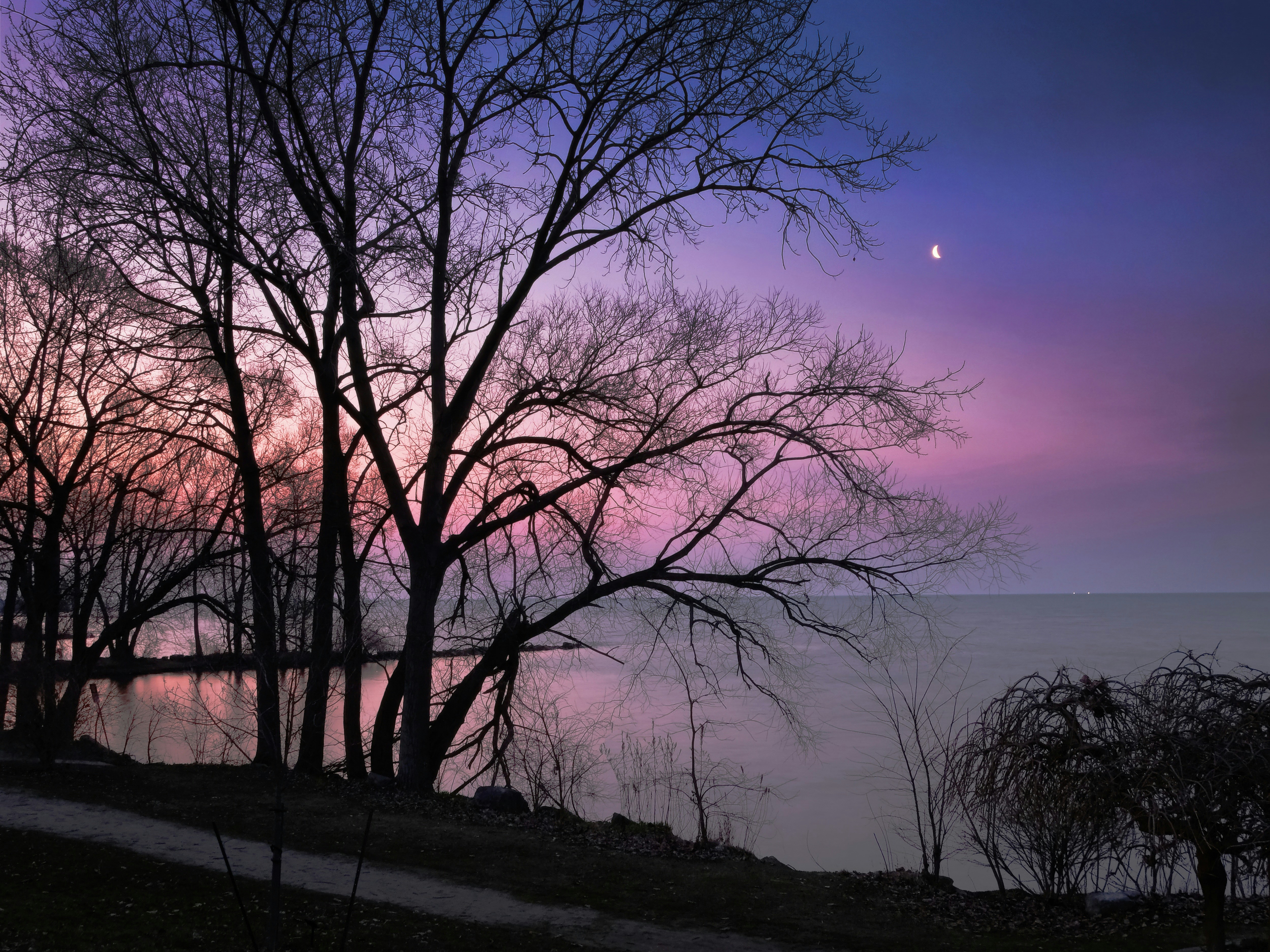 Bare trees silhouetted against a colorful twilight sky