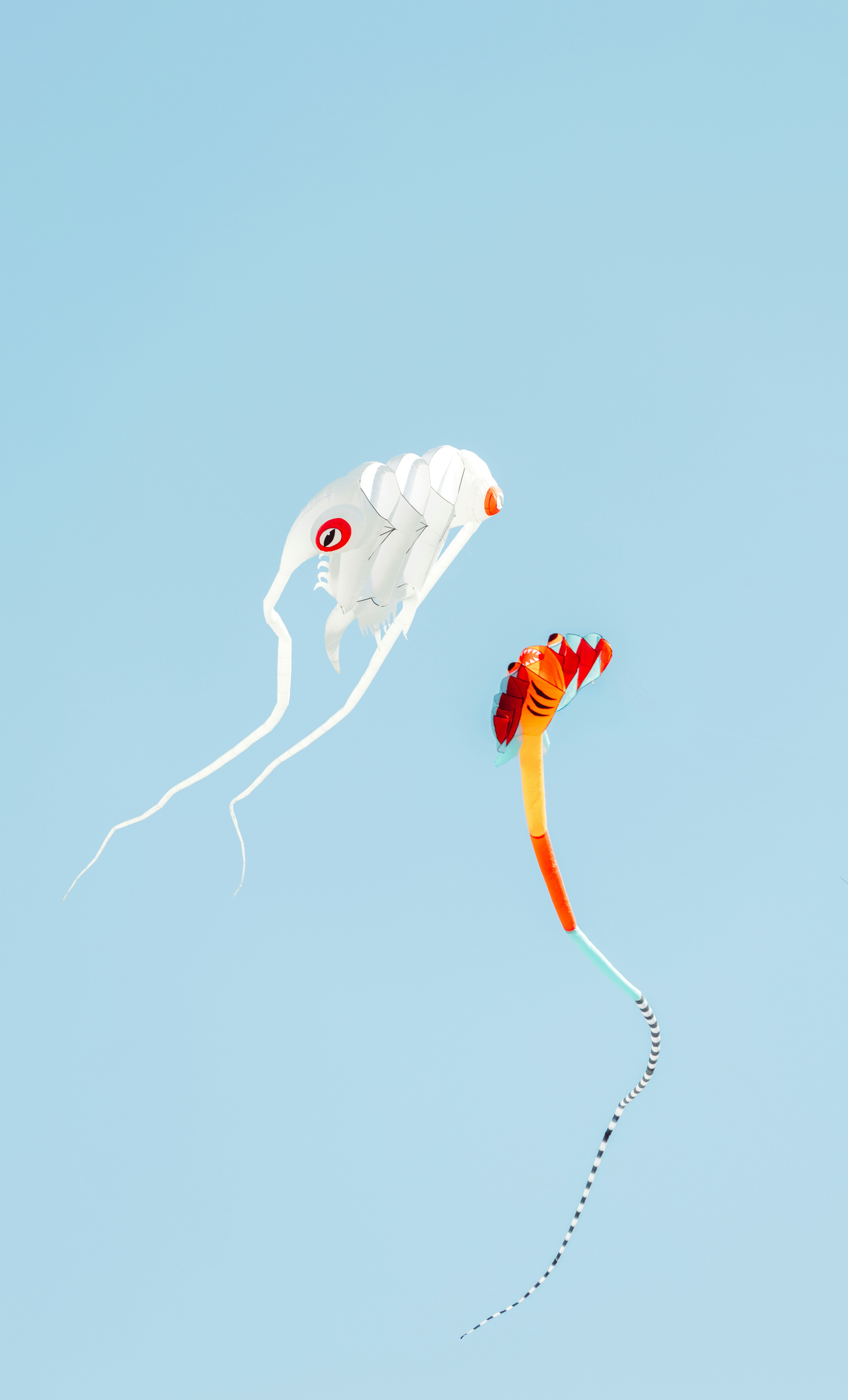 Two kites flying in a clear blue sky
