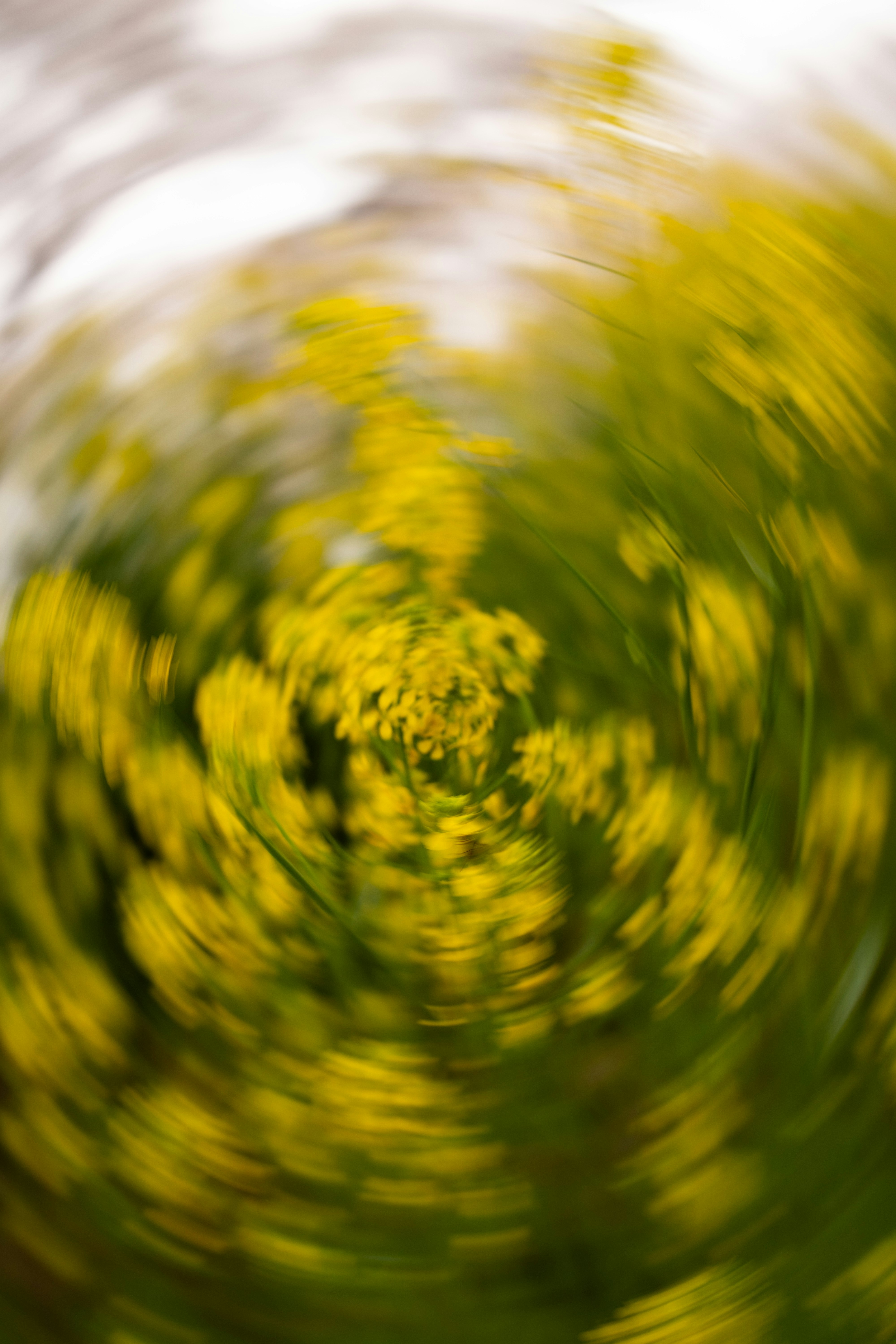 Photo by visualjournal_y