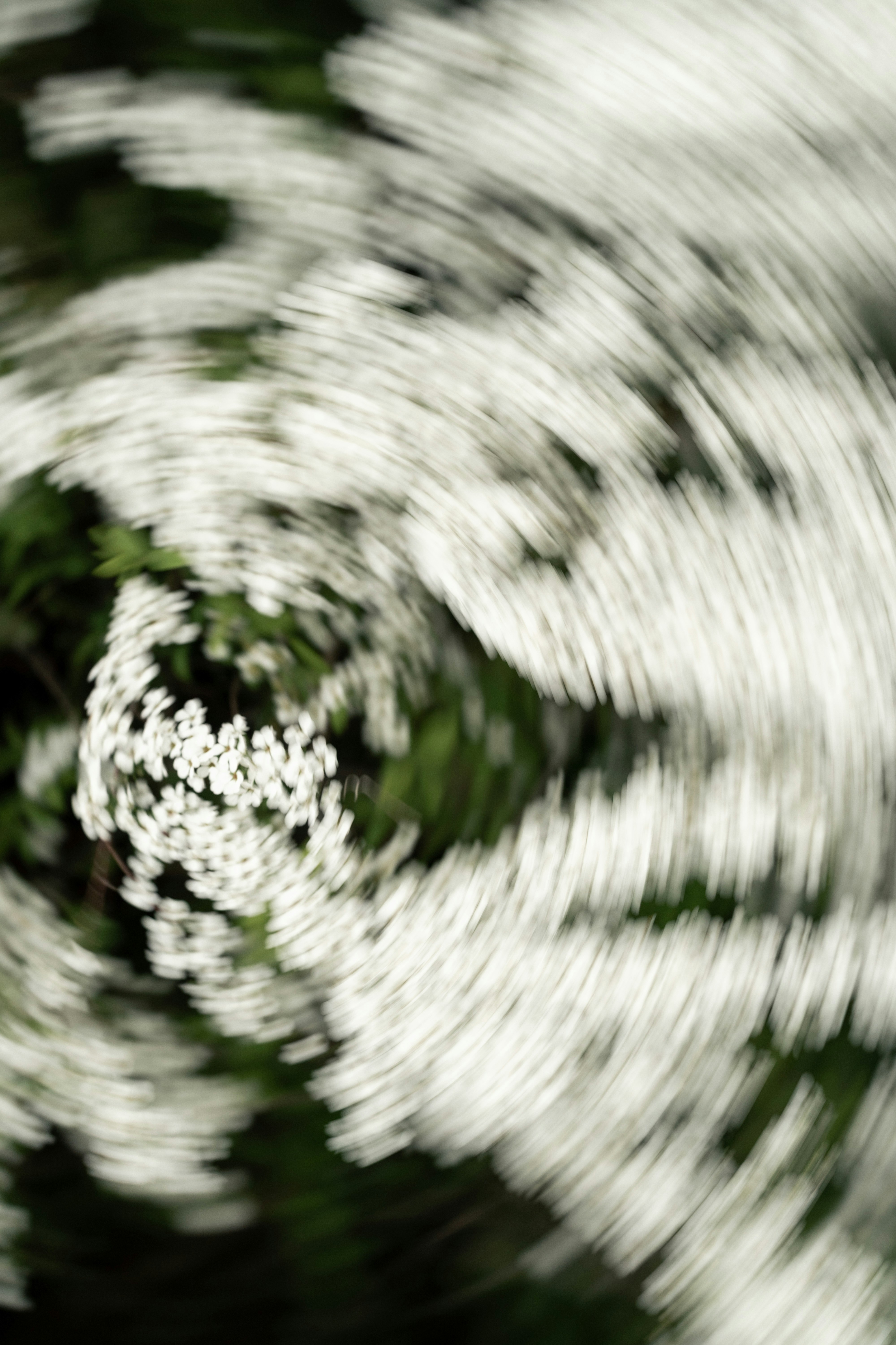 Photo by visualjournal_y