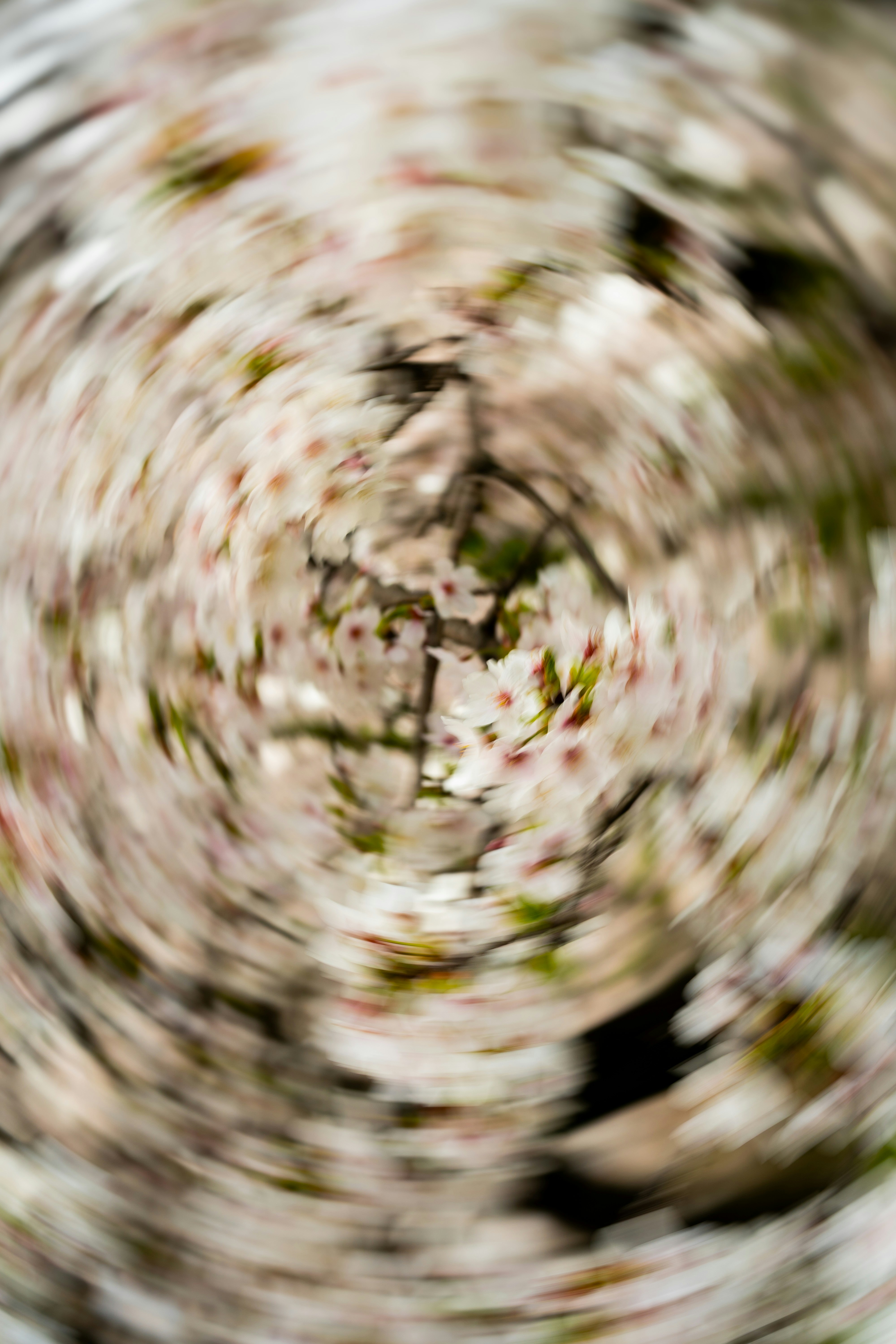 Photo by visualjournal_y