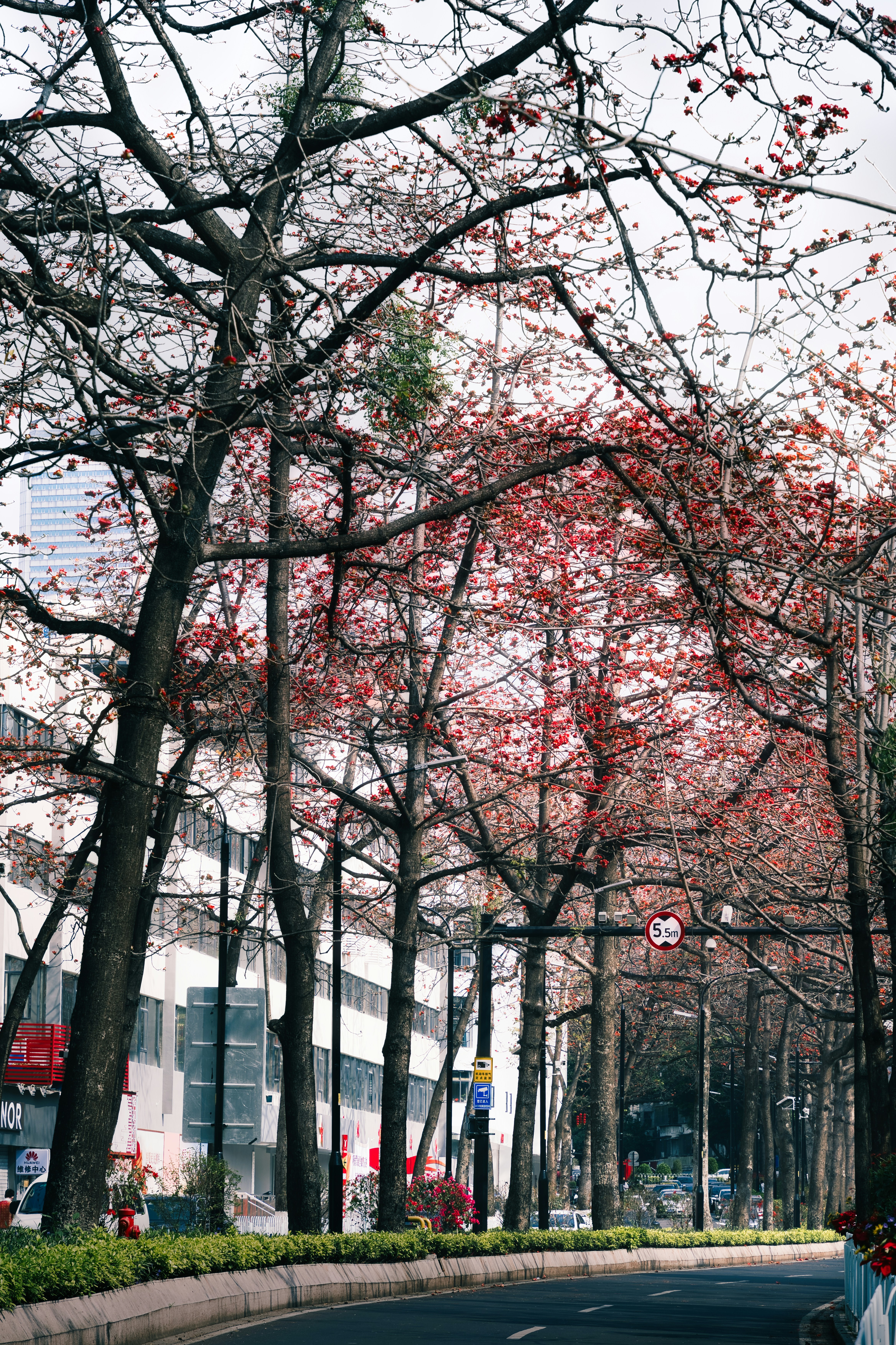 Photo by plasticine66