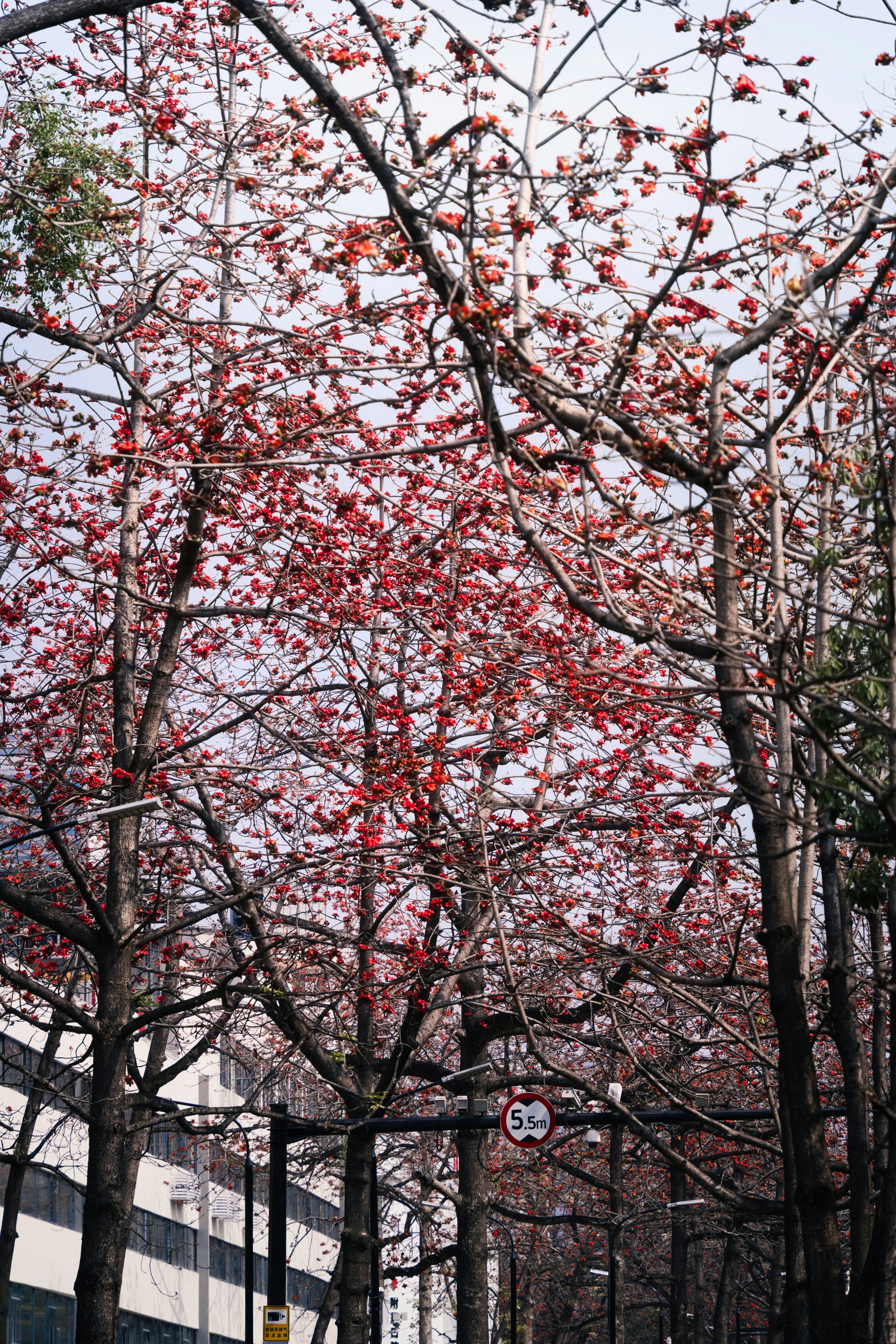 Photo by plasticine66