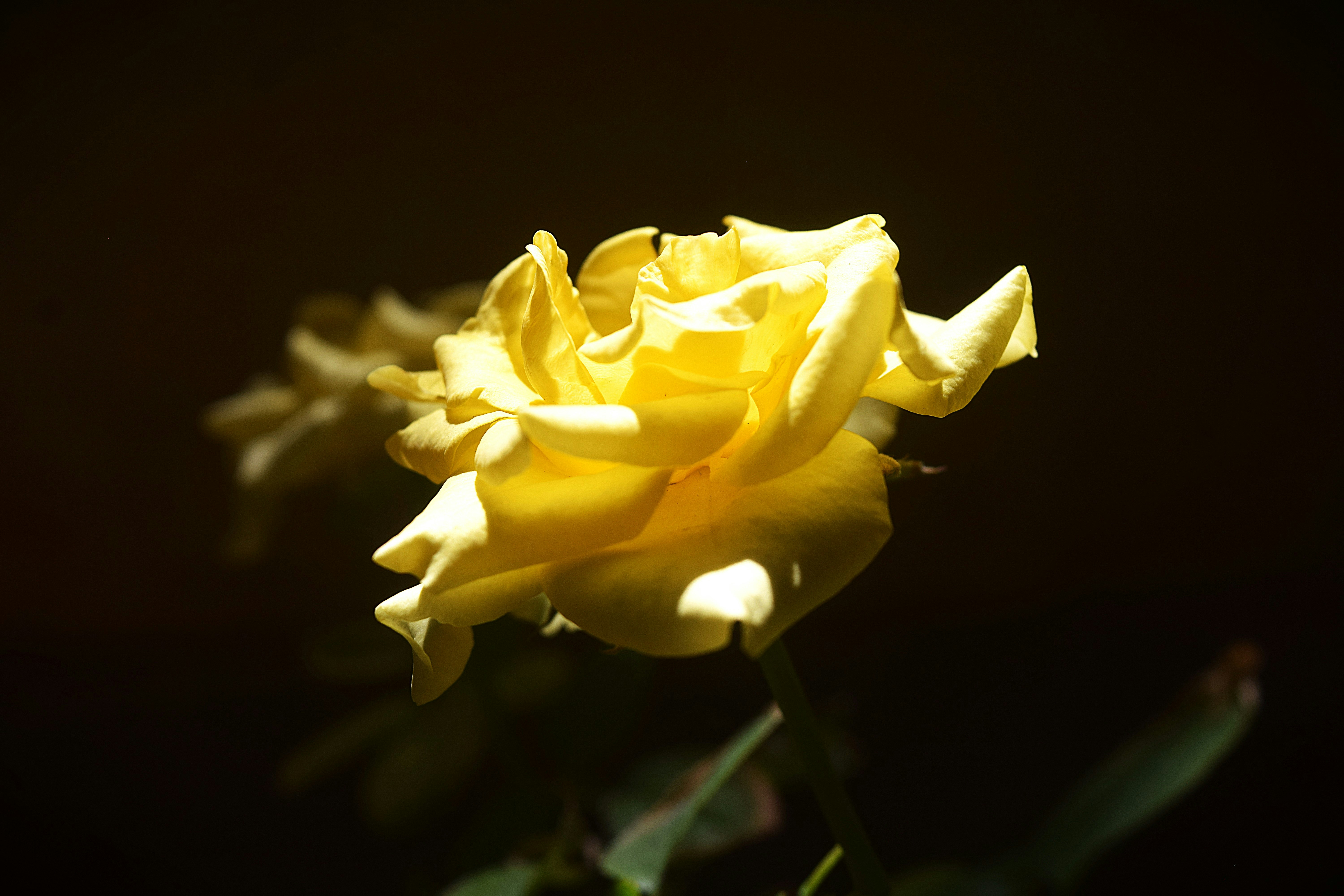 Photo by snapstoriesbyaadhithya