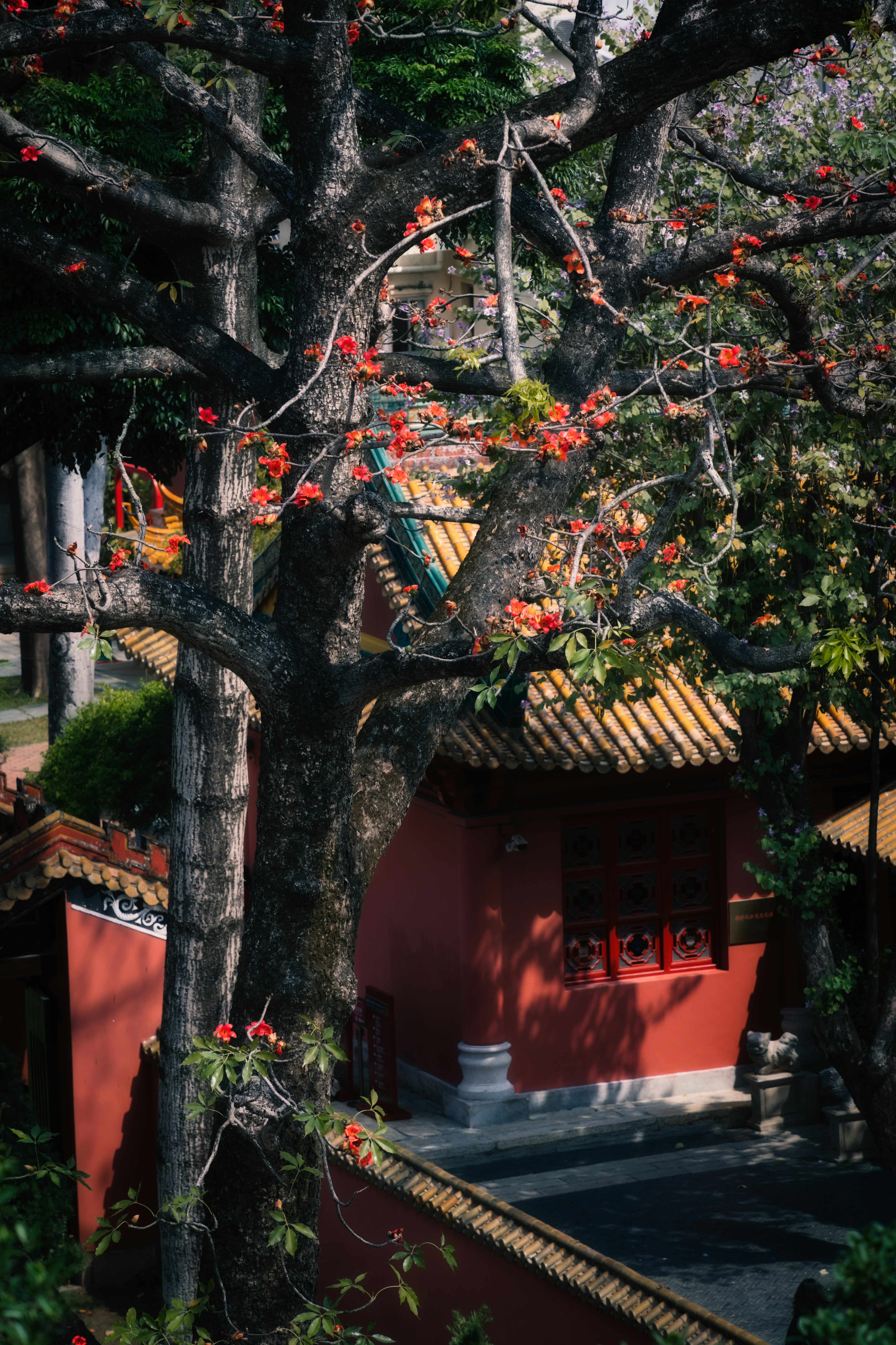 Photo by plasticine66