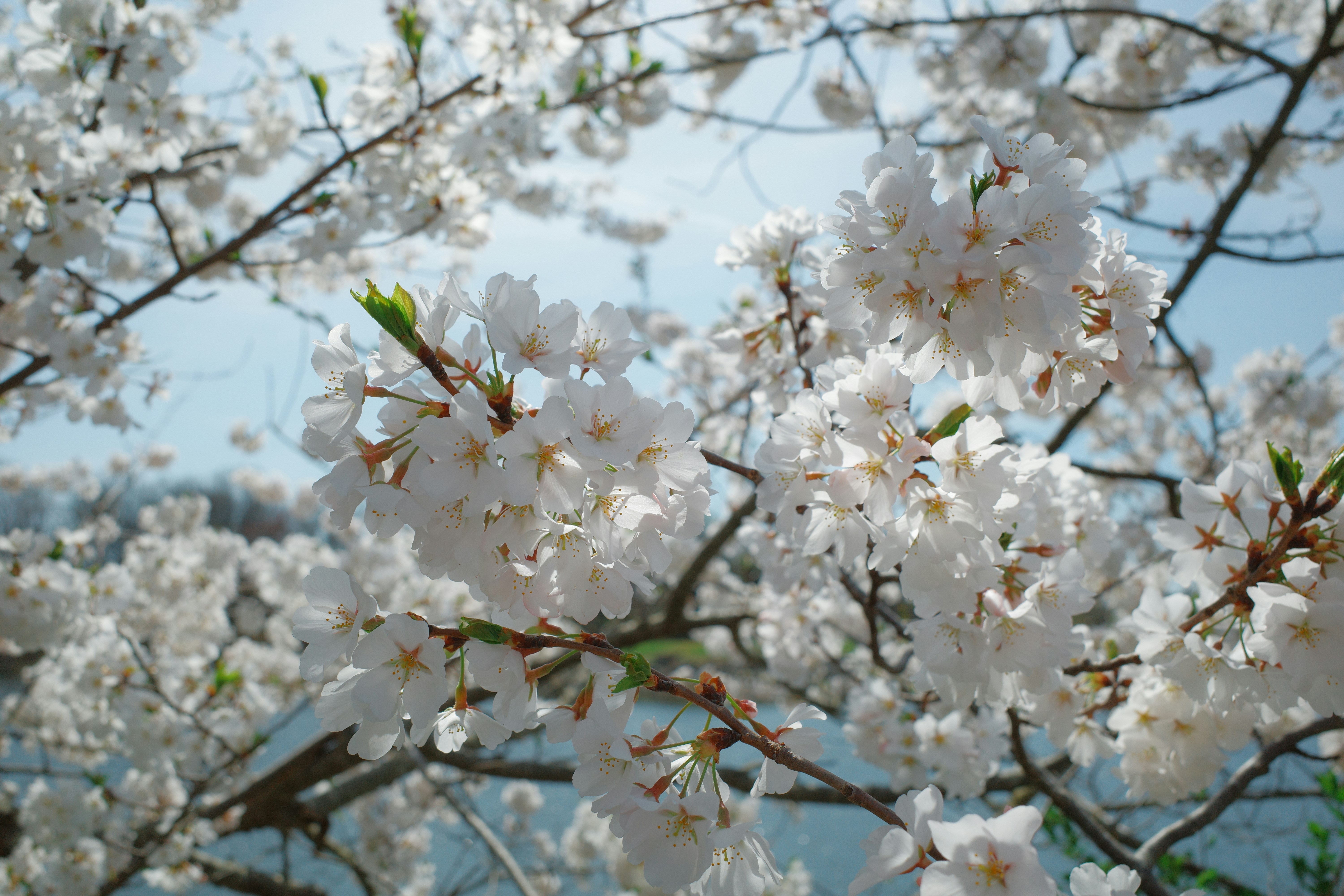 Photo by hirokonishimura