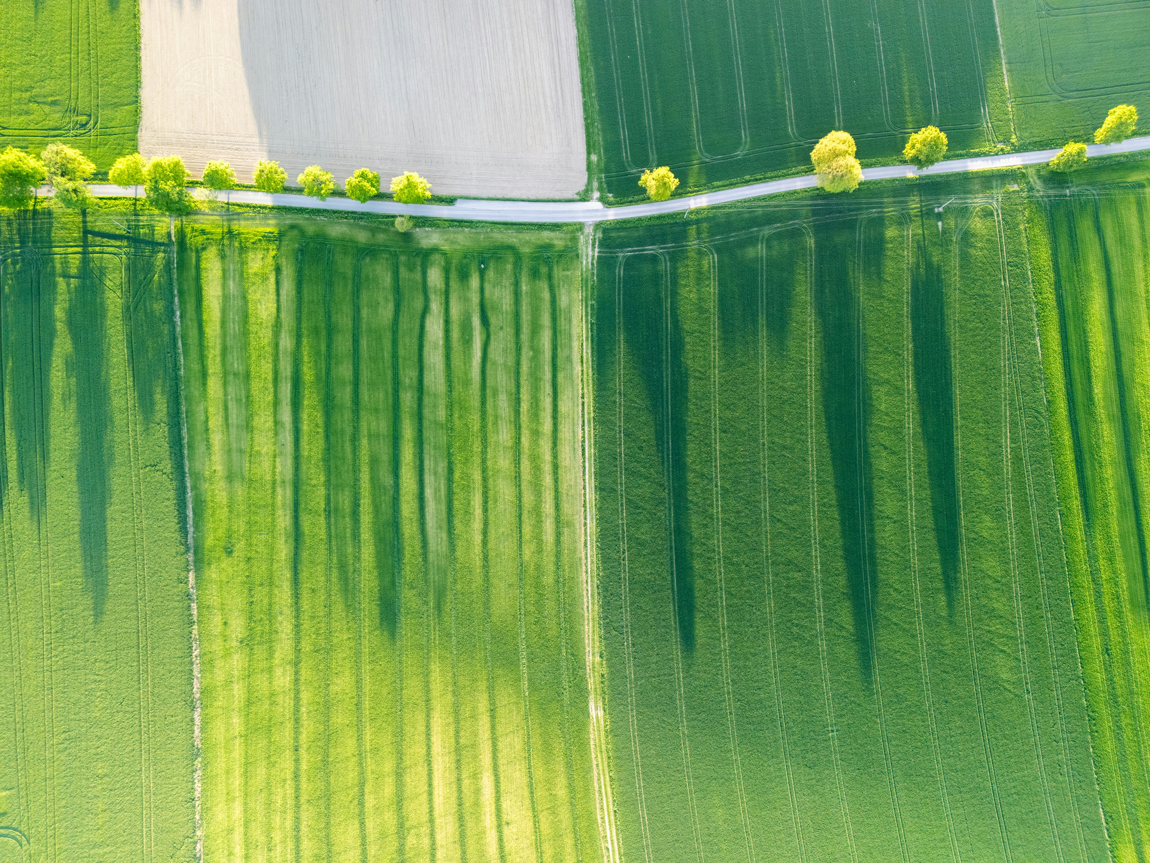 影のある緑豊かな農地の空撮。