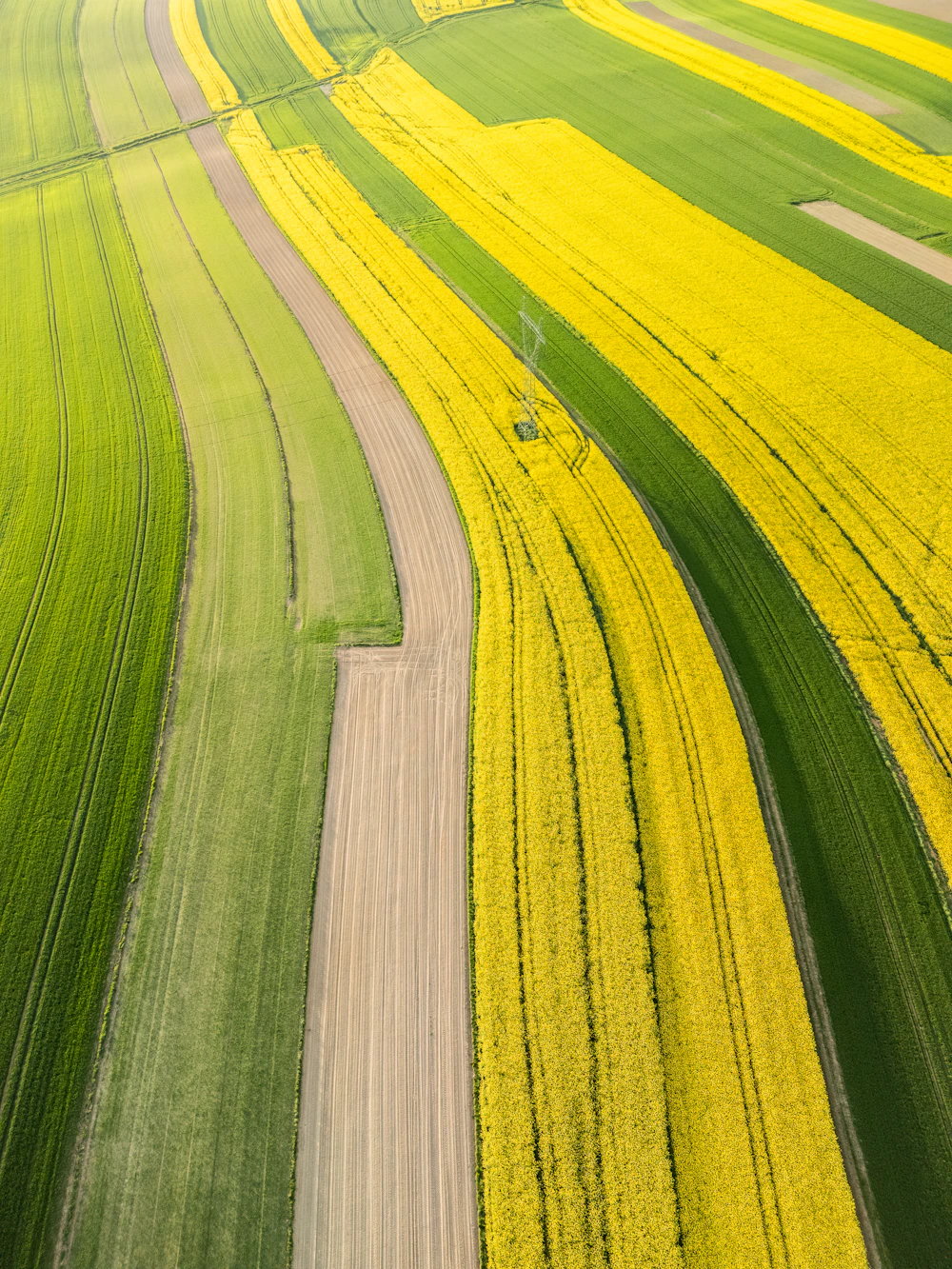 Optical aerial view